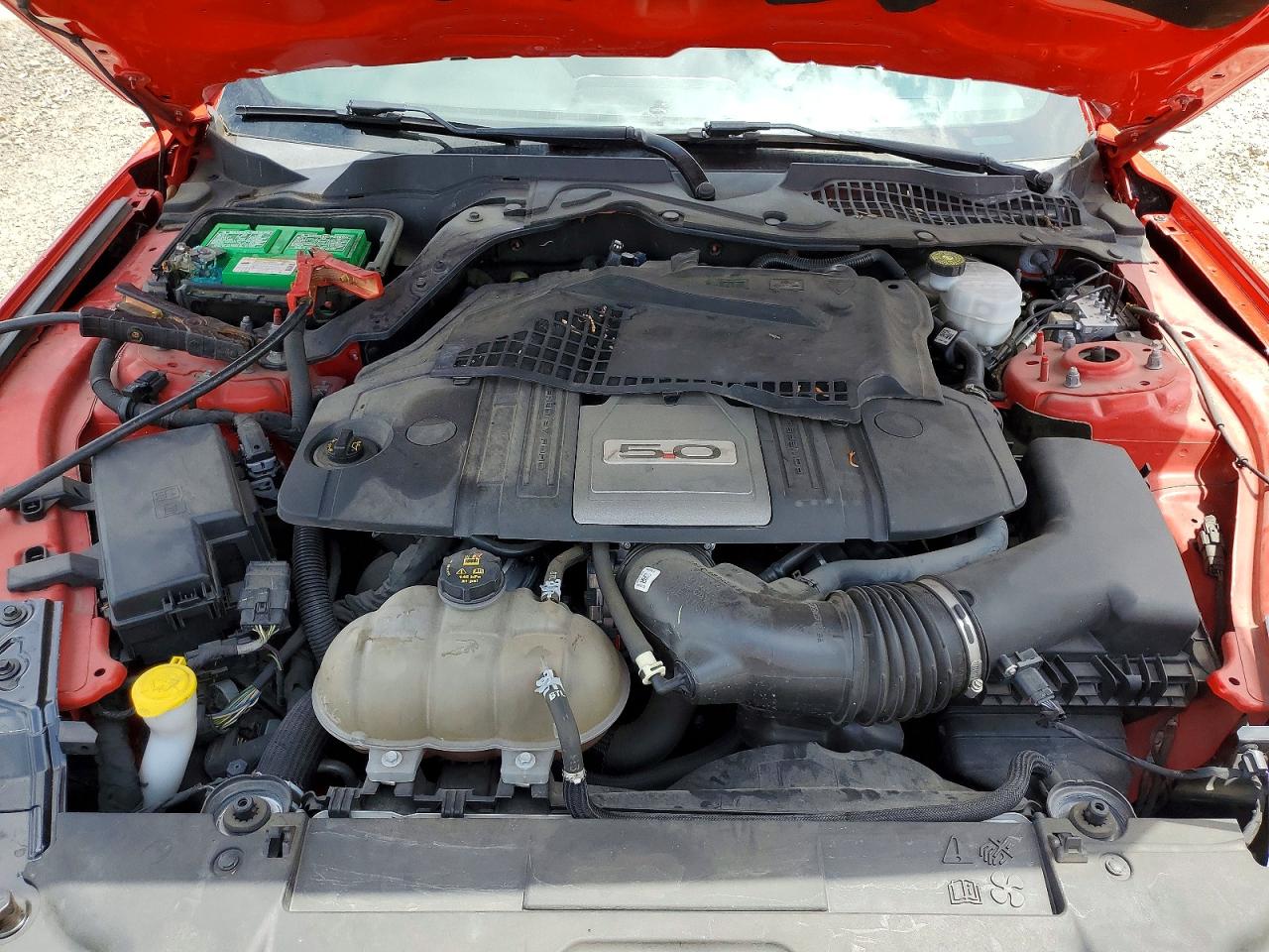 2019 Ford Mustang Gt Красный vin: 1FA6P8CF4K5134168