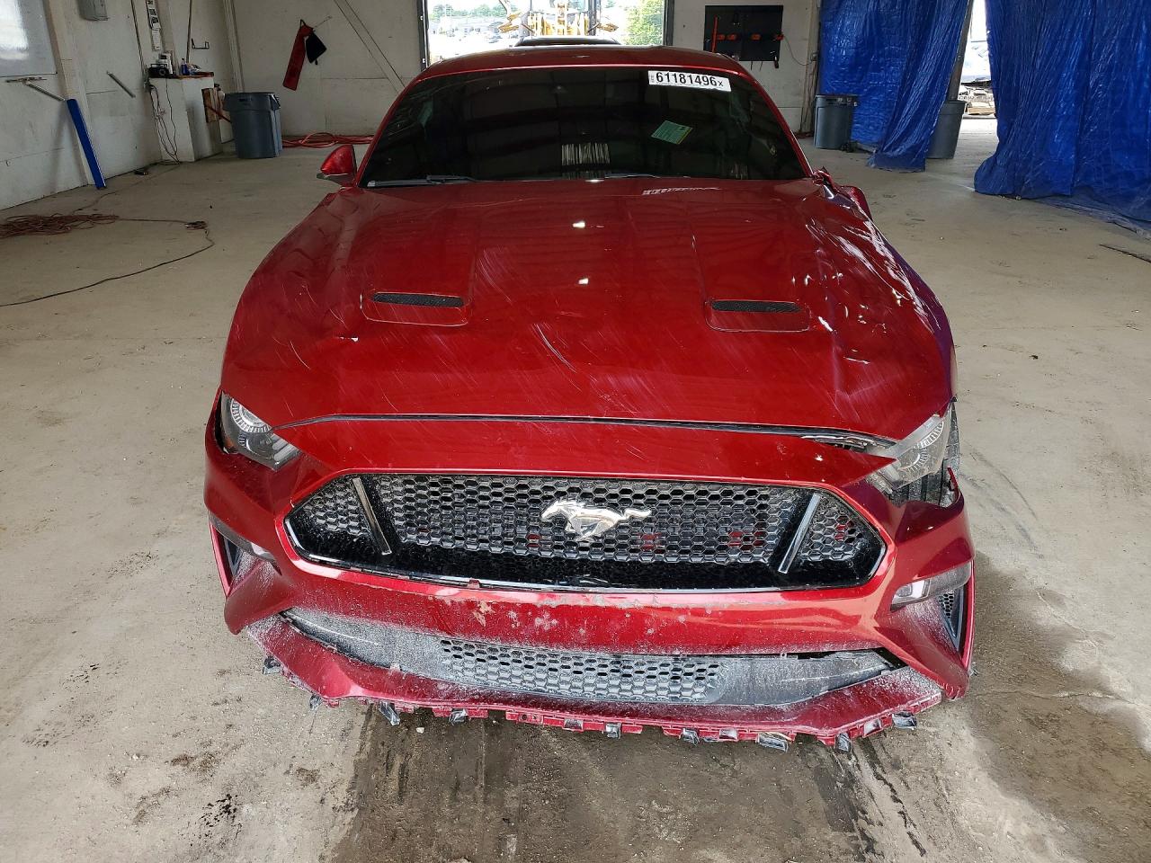 2019 Ford Mustang Gt Burgundy vin: 1FA6P8CF4K5141198