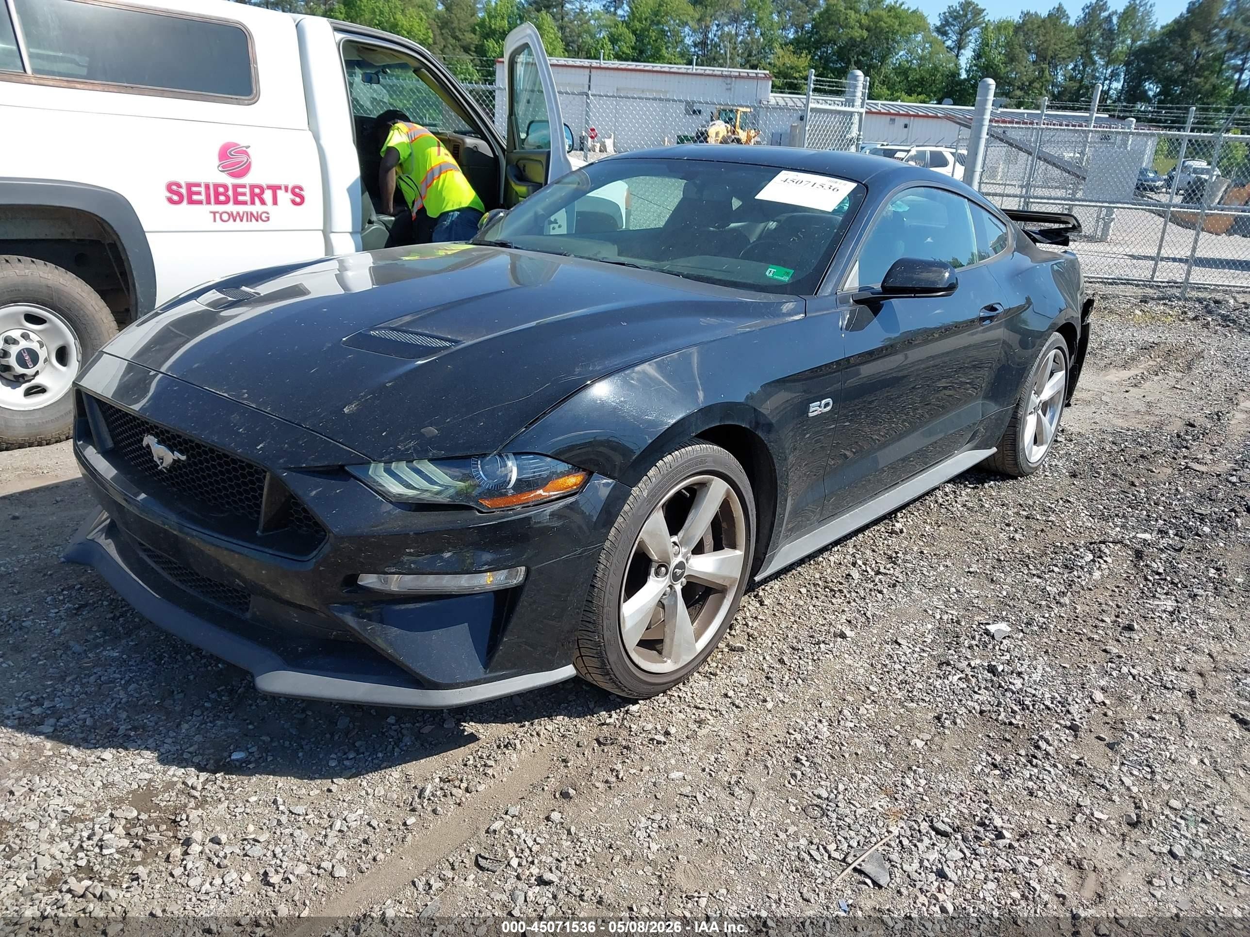 2019 Ford Mustang Gt Черный vin: 1FA6P8CF5K5187235