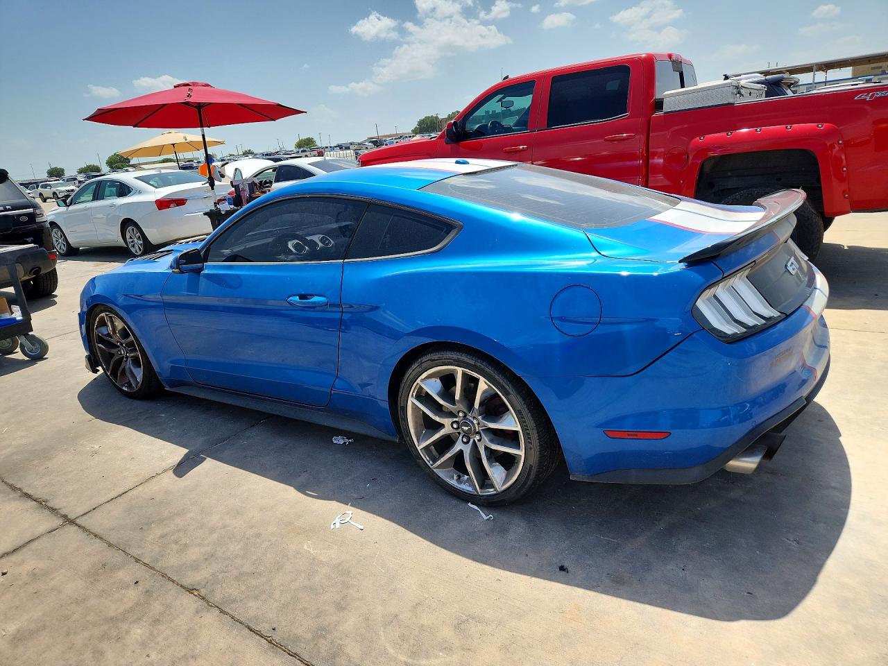 2019 Ford Mustang Gt Blue vin: 1FA6P8CF5K5200341