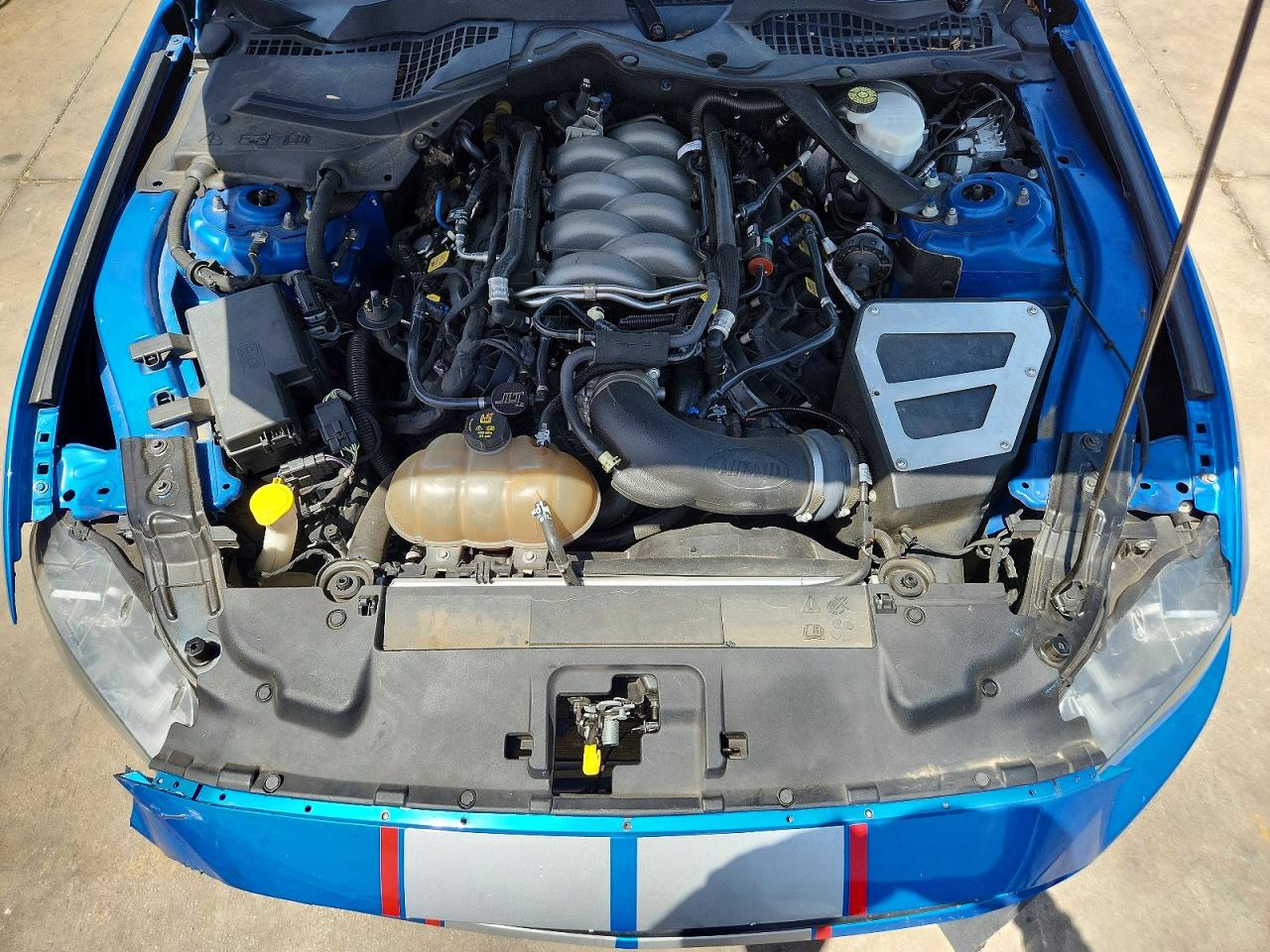 2019 Ford Mustang Gt Blue vin: 1FA6P8CF5K5200341