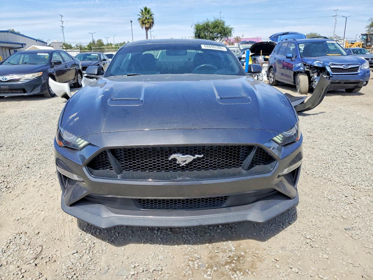 2019 Ford Mustang Gt Black vin: 1FA6P8CF6K5111572
