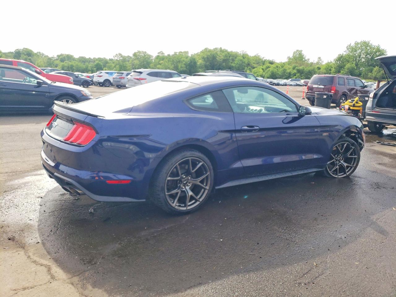 2019 Ford Mustang Gt Blue vin: 1FA6P8CF6K5112897
