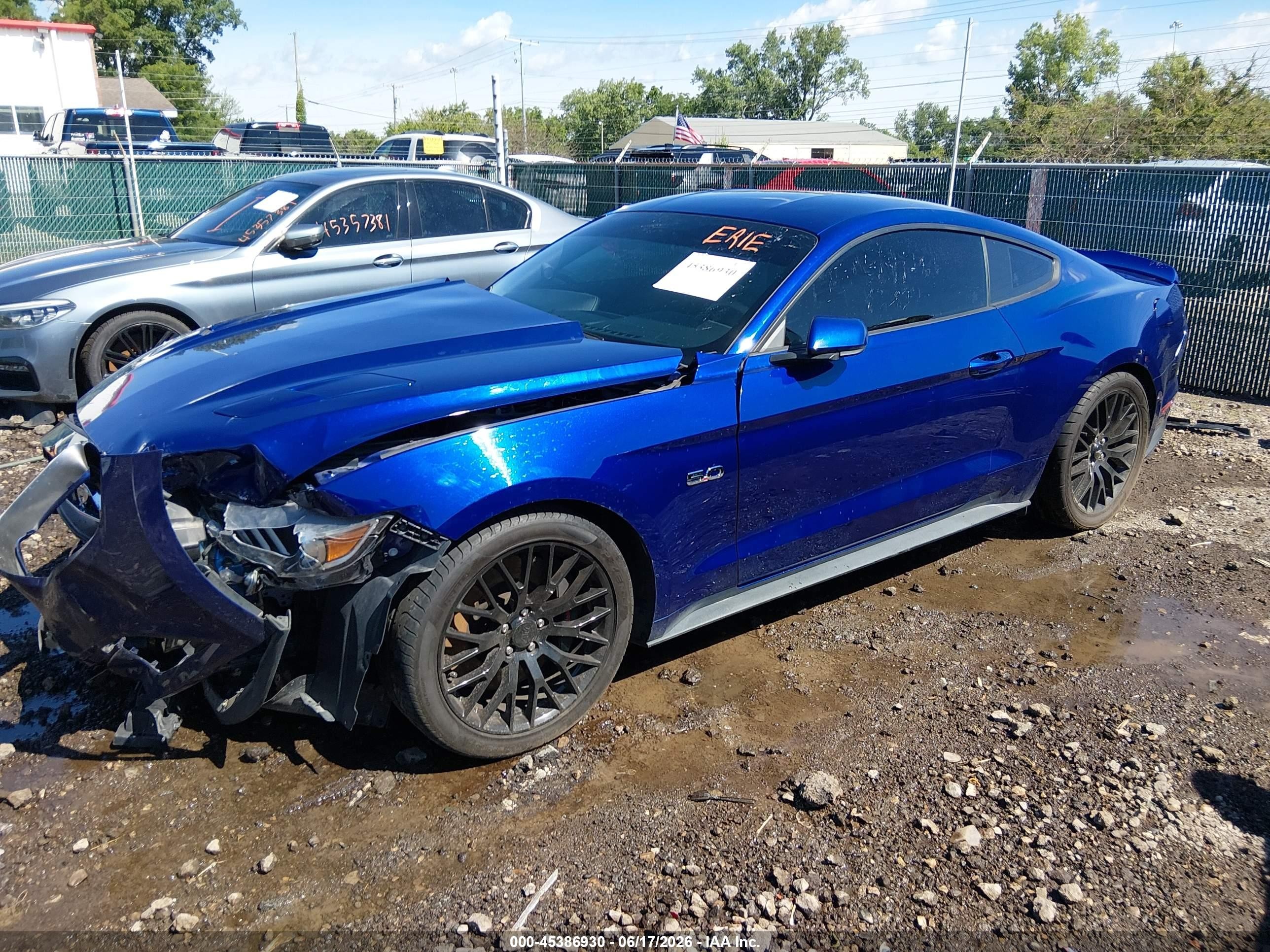 2015 Ford Mustang Gt Premium Blue vin: 1FA6P8CF7F5424331