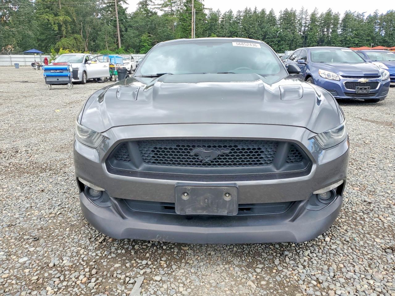 2015 Ford Mustang Gt Gray vin: 1FA6P8CF8F5407411
