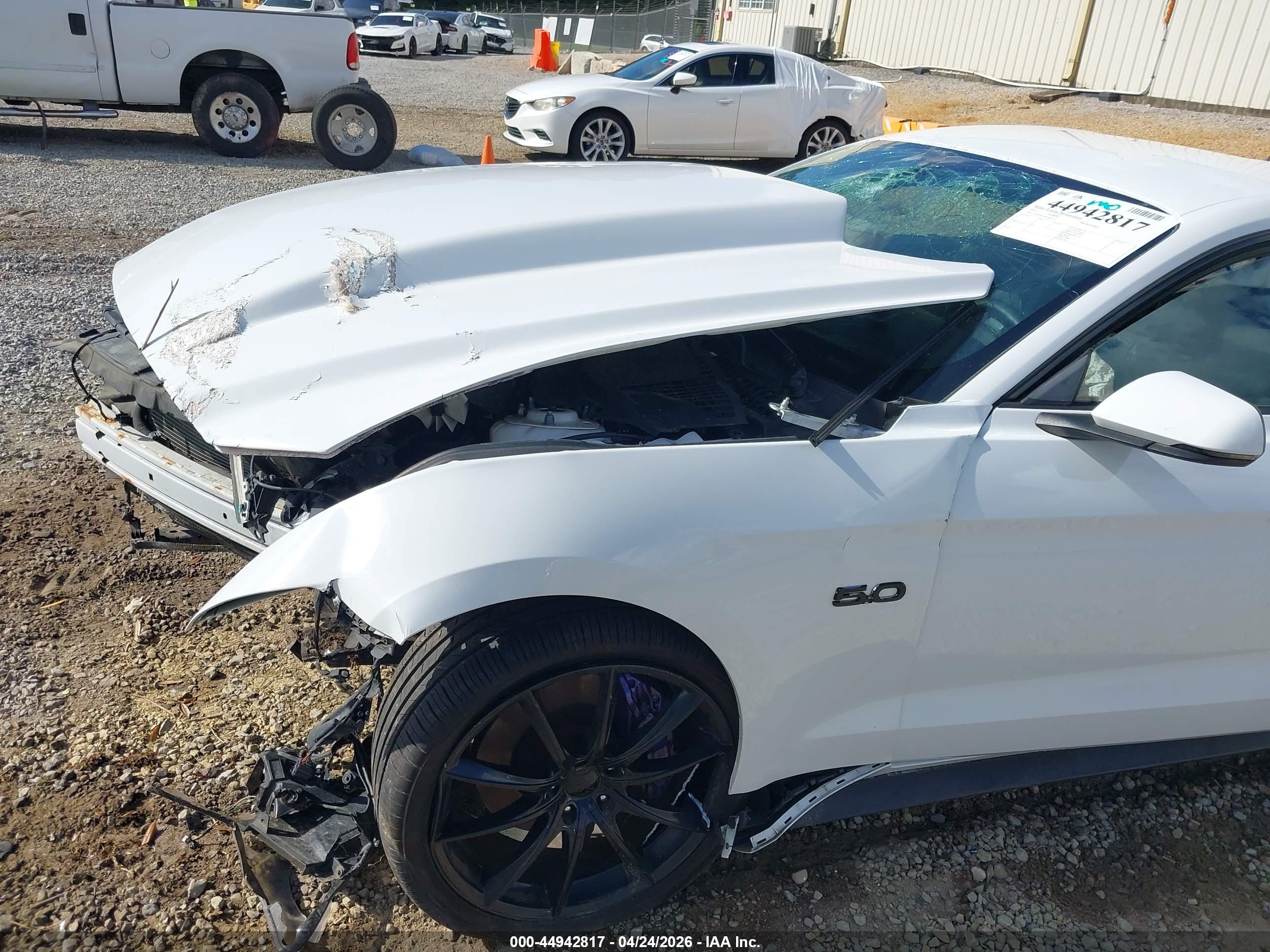 2015 Ford Mustang Gt Premium Белый vin: 1FA6P8CF8F5408753