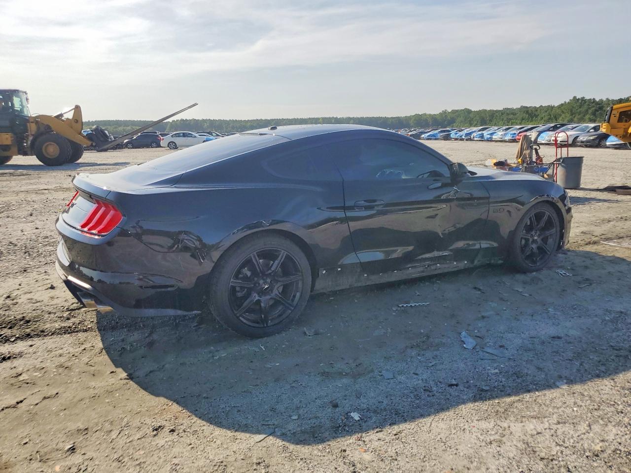 2019 Ford Mustang Gt Black vin: 1FA6P8CF8K5166637