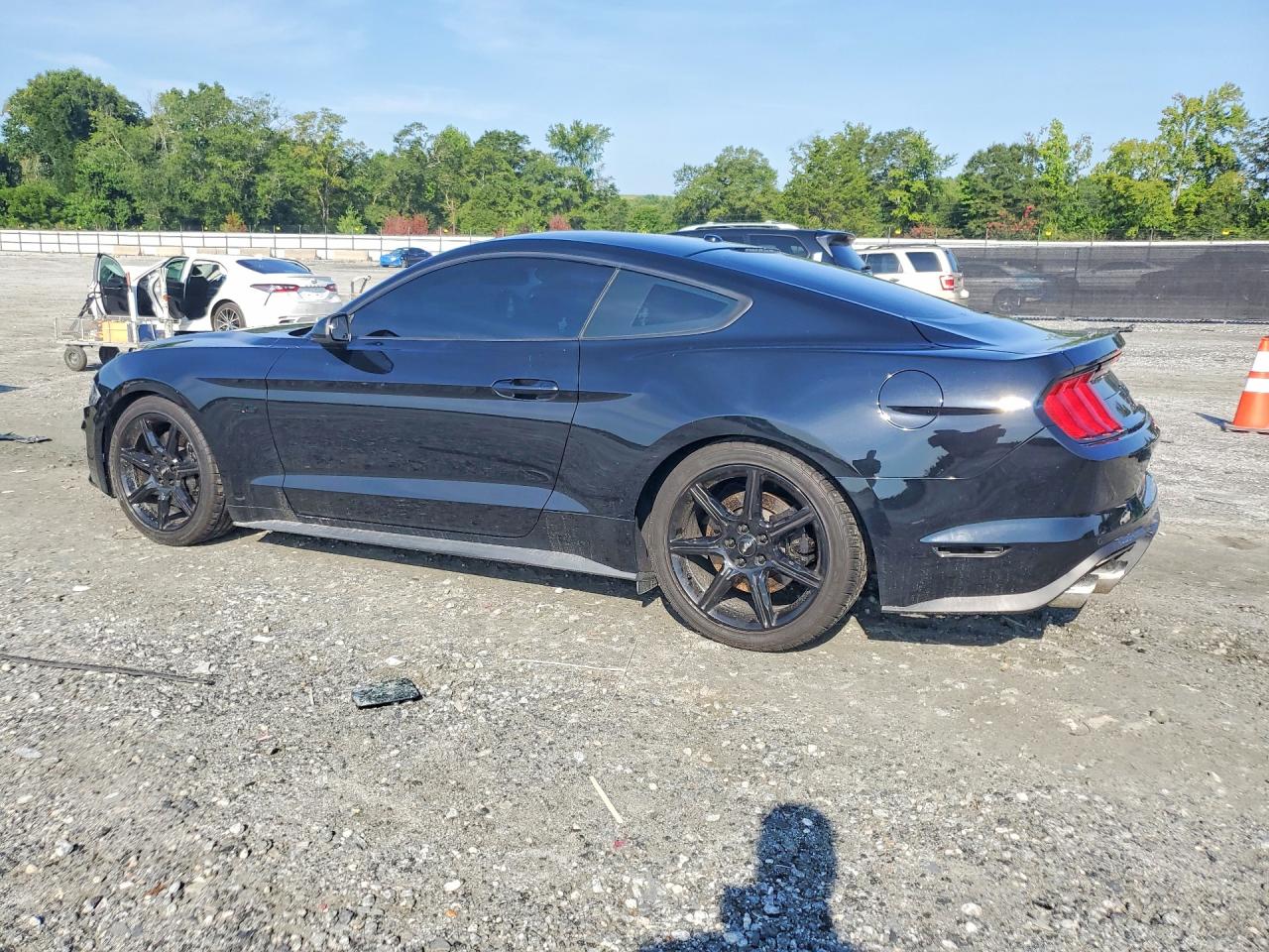 2019 Ford Mustang Gt Black vin: 1FA6P8CF8K5166637