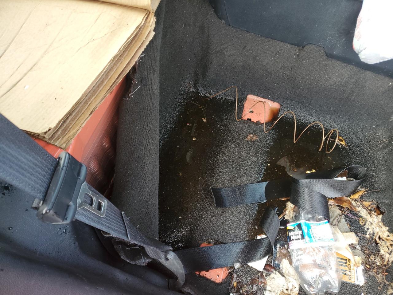 2015 Ford Mustang Gt Orange vin: 1FA6P8CF9F5379957 Damage: Left Rear Seat, Missing, Replacement Required