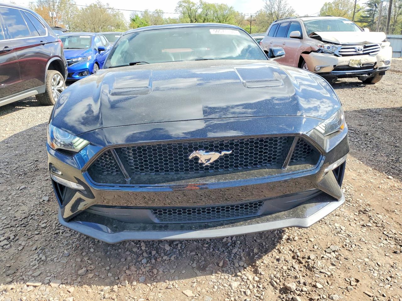 2019 Ford Mustang Gt Black vin: 1FA6P8CF9K5152620