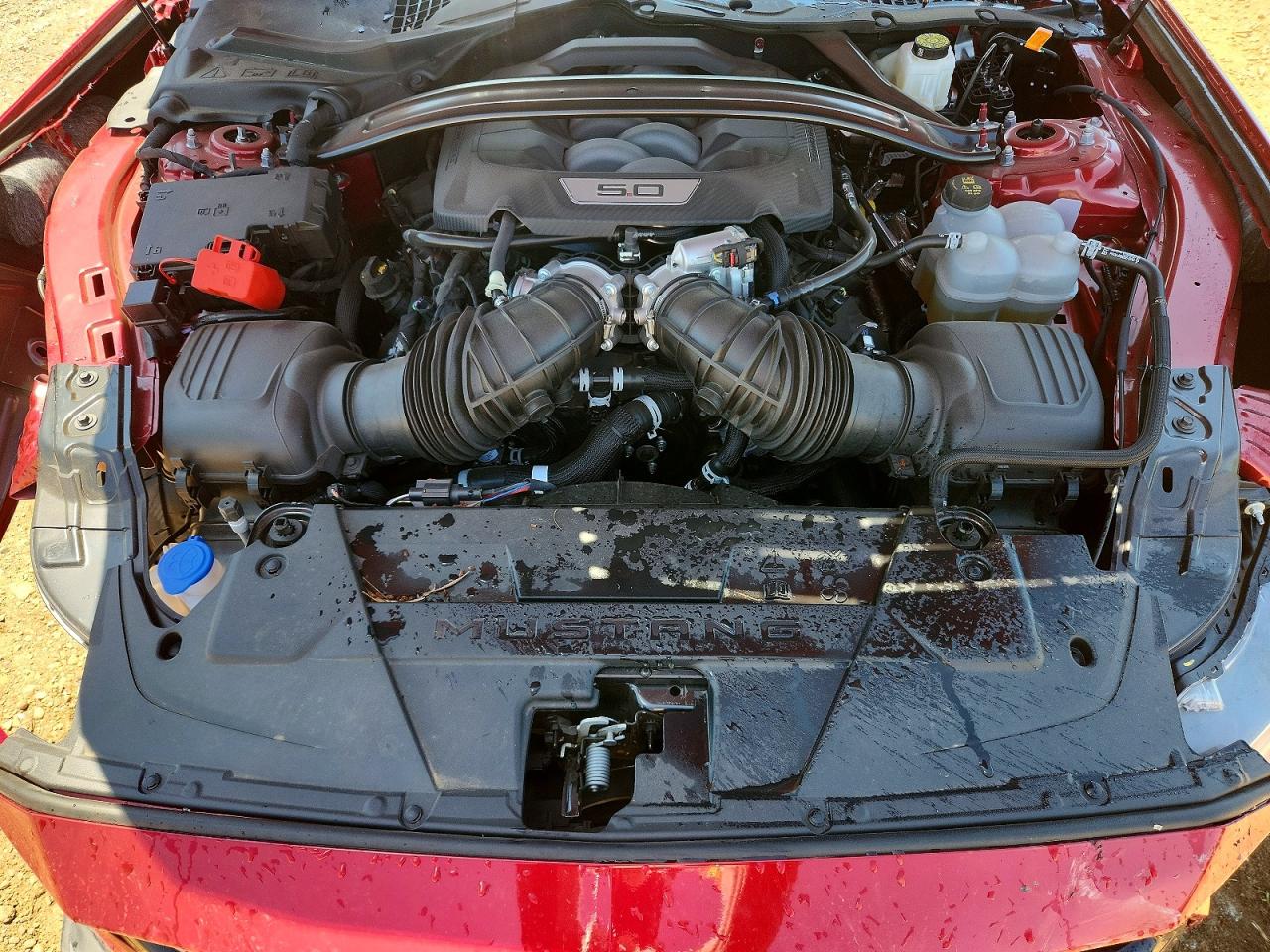 2024 Ford Mustang Gt Red vin: 1FA6P8CF9R5433021