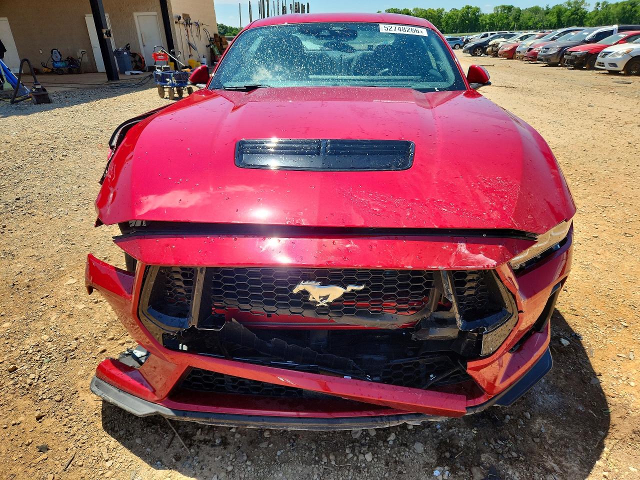 2024 Ford Mustang Gt Red vin: 1FA6P8CF9R5433021
