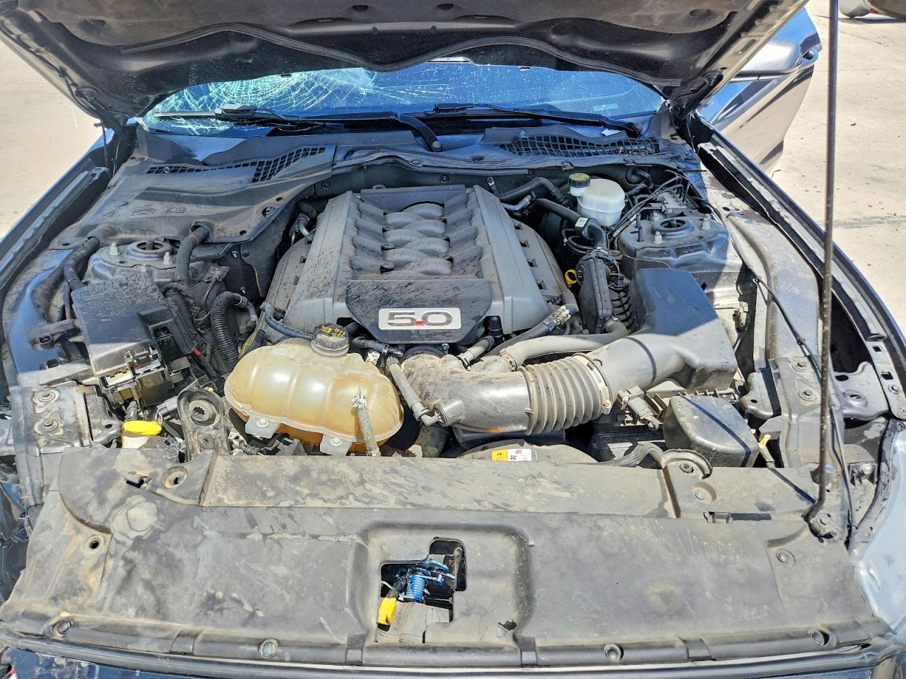 2015 Ford Mustang Gt Черный vin: 1FA6P8CFXF5325986