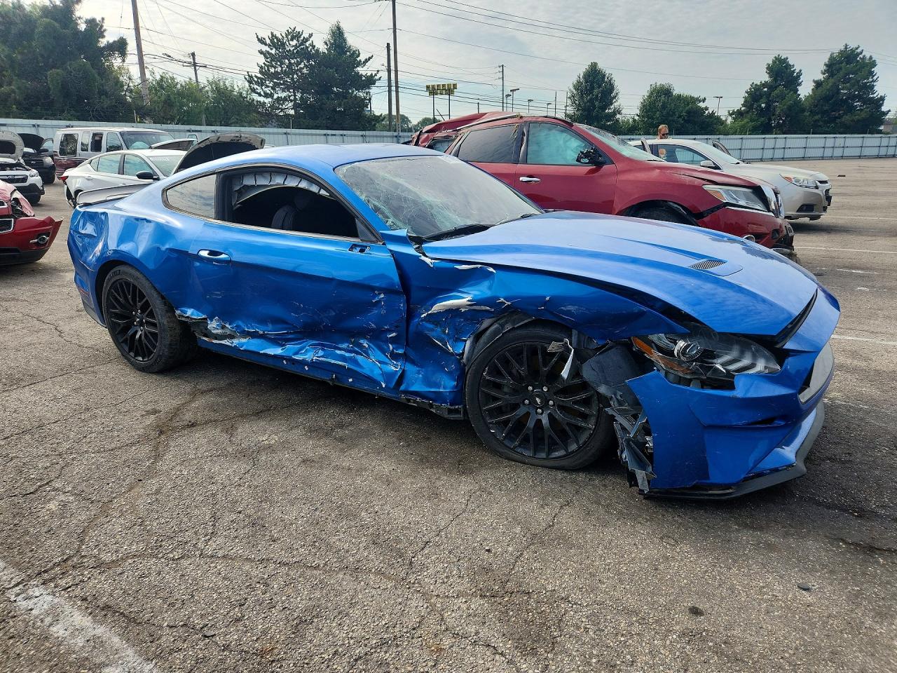 2019 Ford Mustang Gt Blue vin: 1FA6P8CFXK5117231