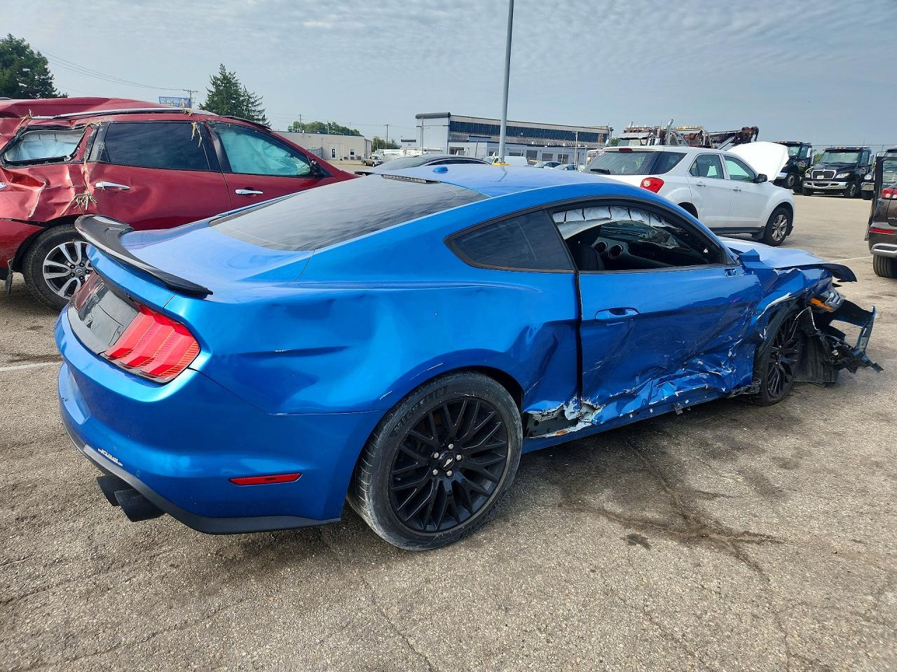 2019 Ford Mustang Gt Blue vin: 1FA6P8CFXK5117231