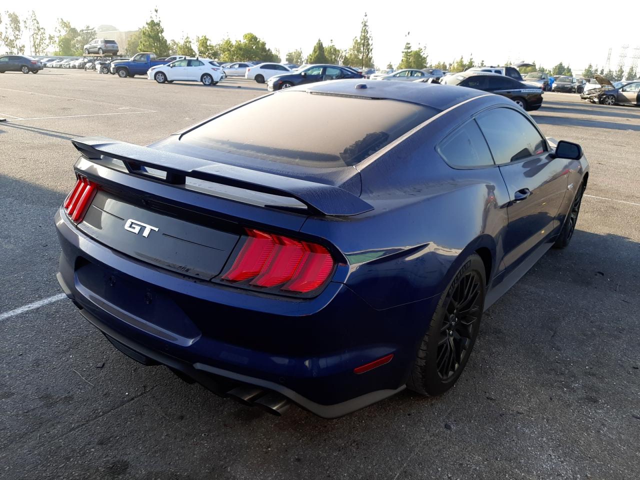 Price & History 2019 Ford Mustang Gt 5.0l 8 vin: 1FA6P8CFXK5118637