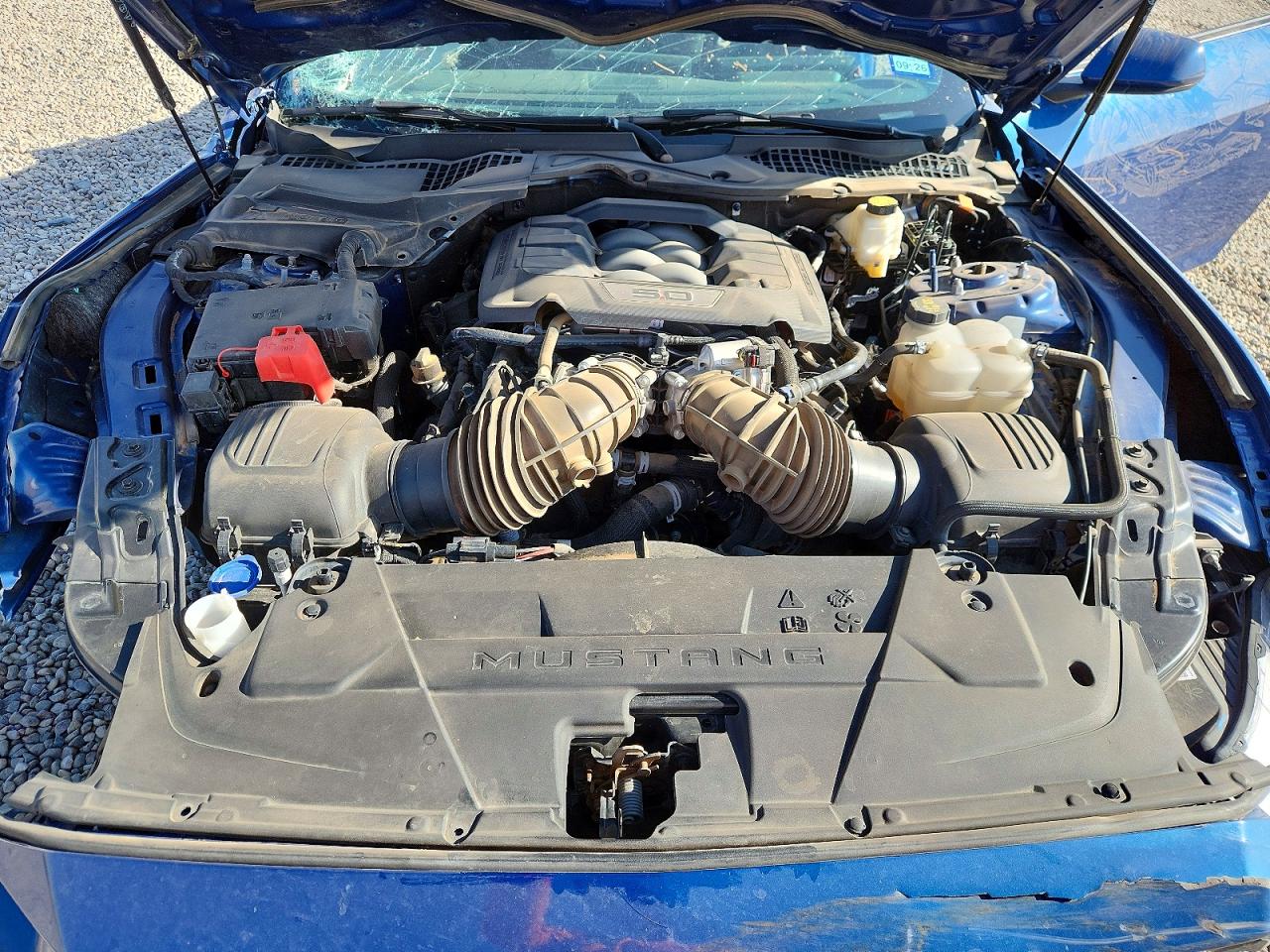 2024 Ford Mustang Gt Blue vin: 1FA6P8CFXR5408063