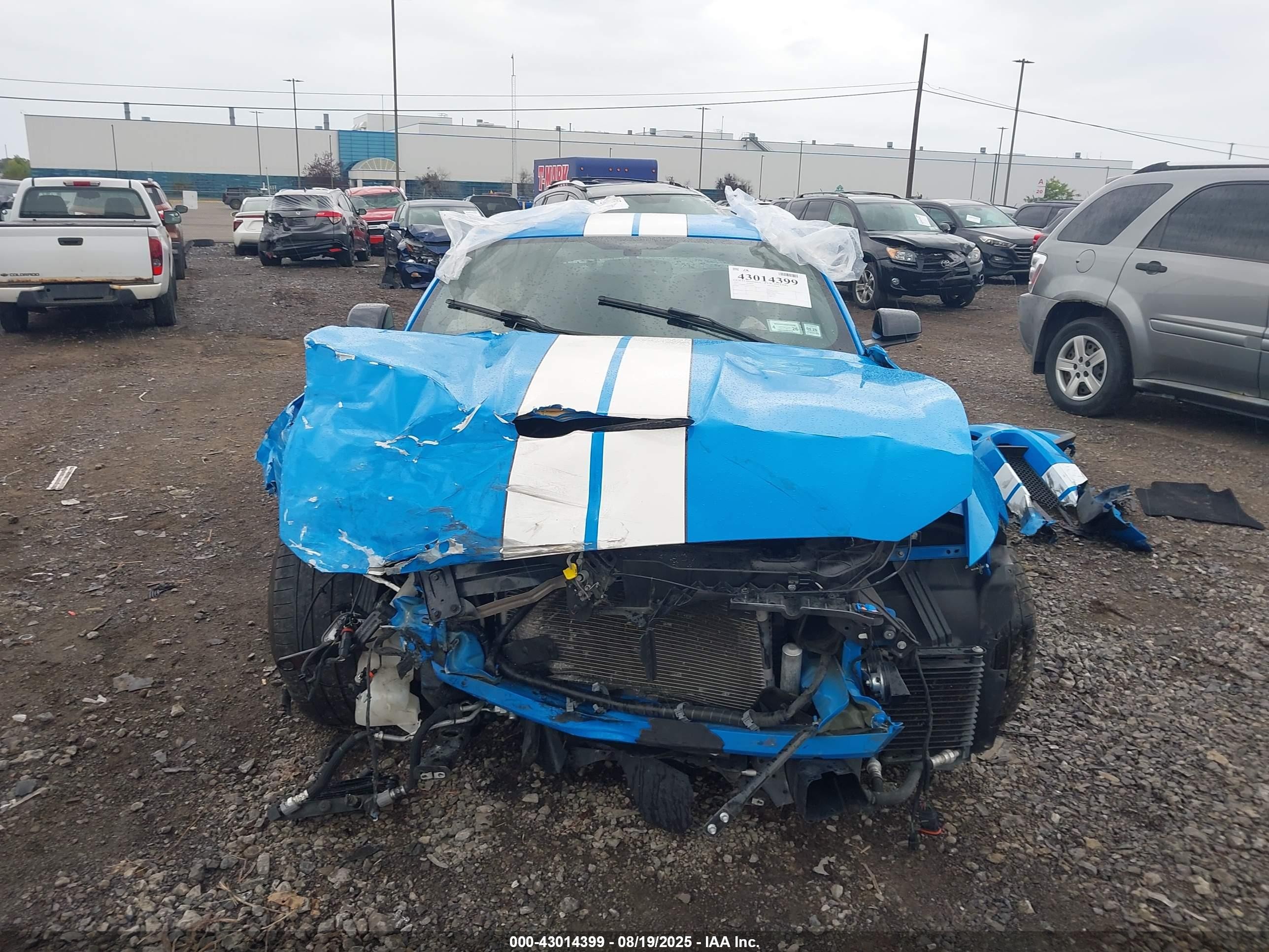 2017 Ford Shelby Gt350   Blue vin: 1FA6P8JZ5H5525299