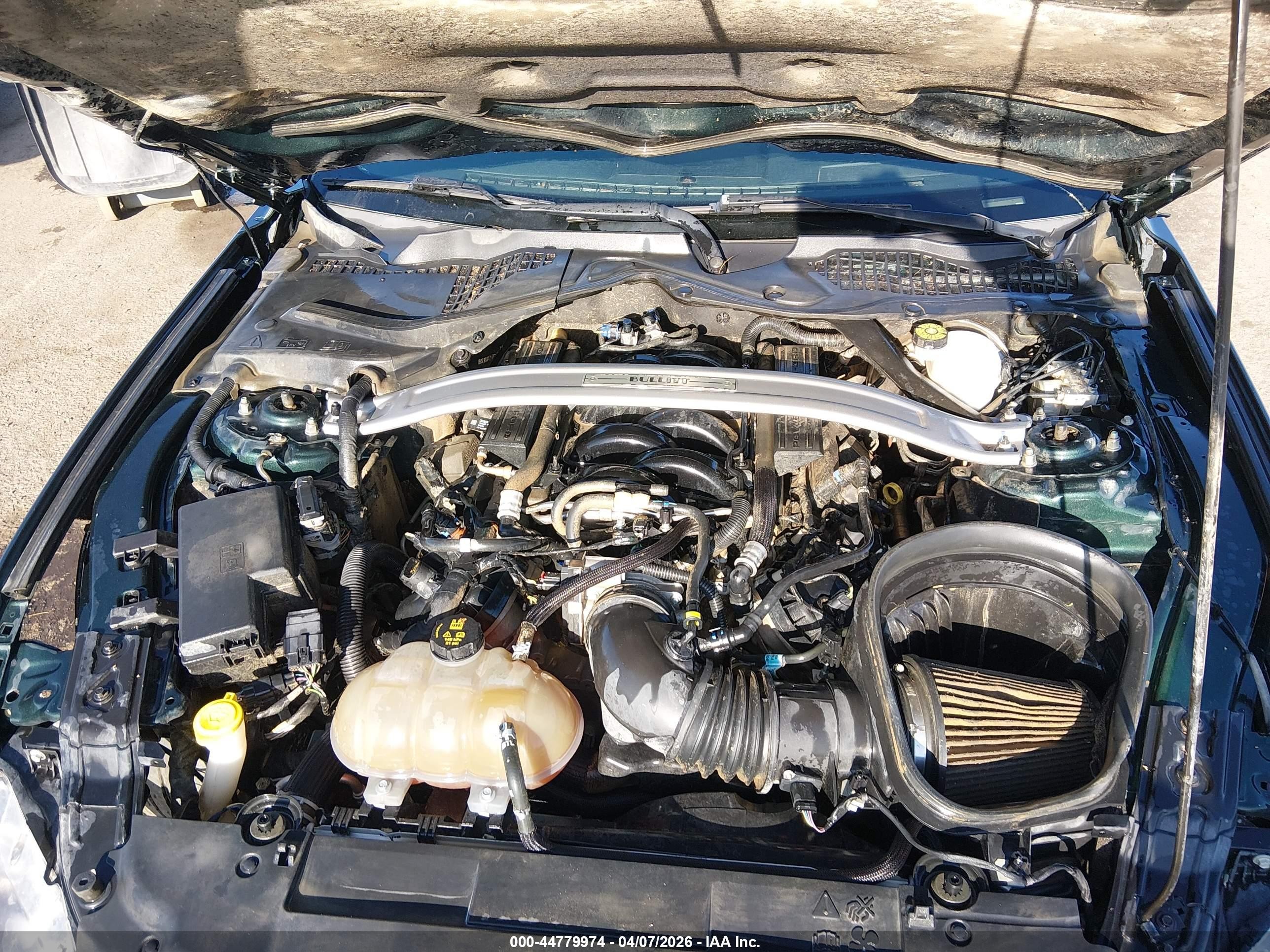 2019 Ford Mustang Bullitt Green vin: 1FA6P8K00K5504741