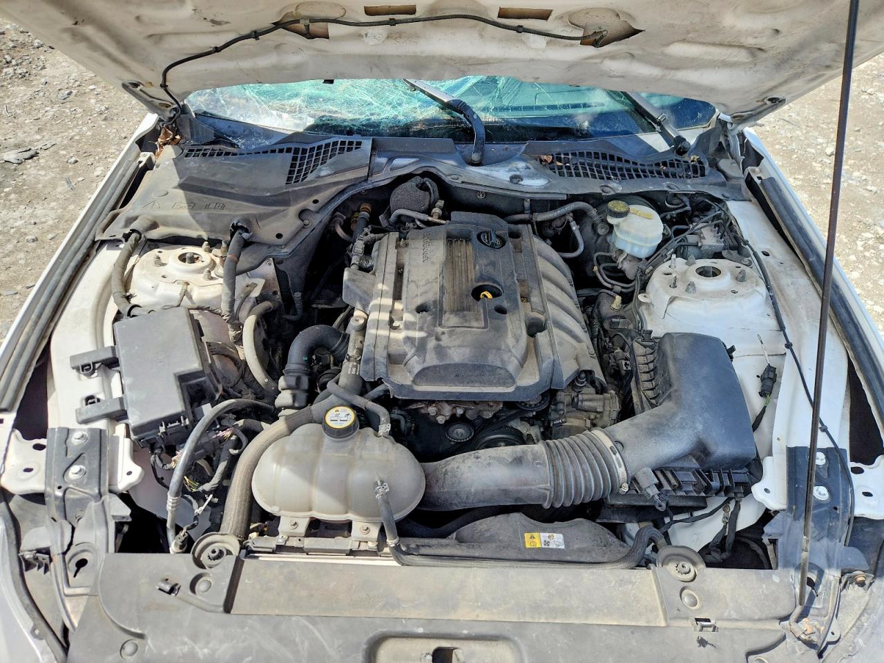 2015 Ford Mustang Белый vin: 1FA6P8TH0F5356486