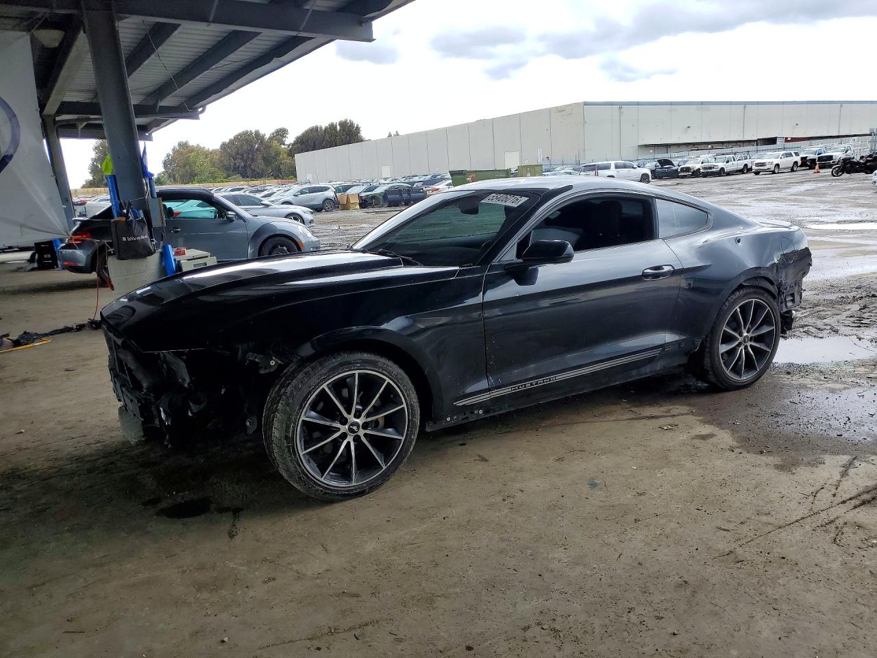 2015 Ford Mustang Black vin: 1FA6P8TH0F5426343