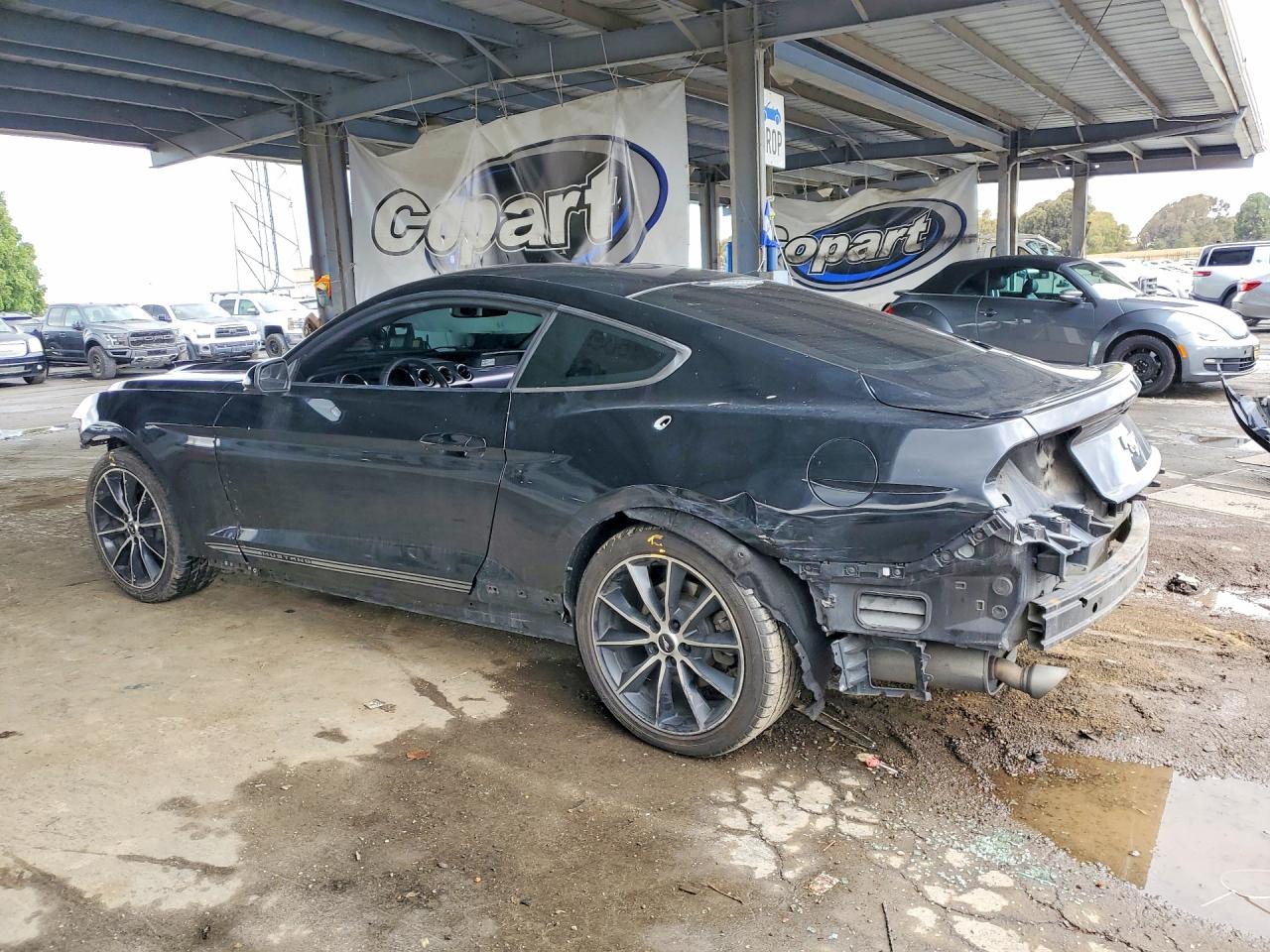 2015 Ford Mustang Black vin: 1FA6P8TH0F5426343