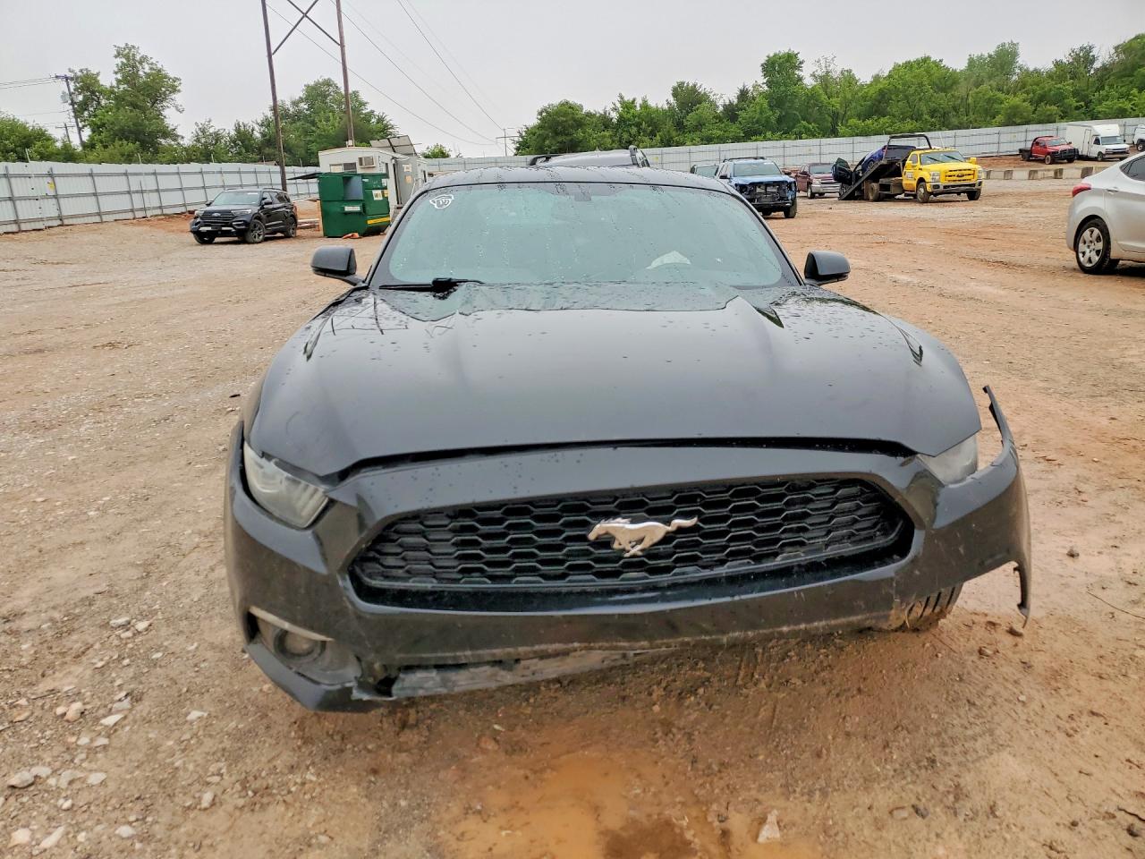 2017 Ford Mustang Black vin: 1FA6P8TH0H5272087