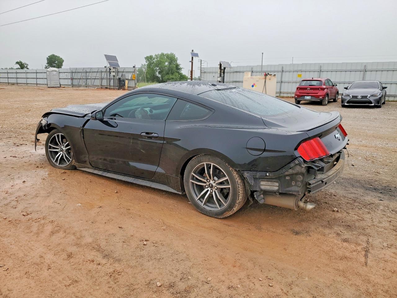2017 Ford Mustang Black vin: 1FA6P8TH0H5272087