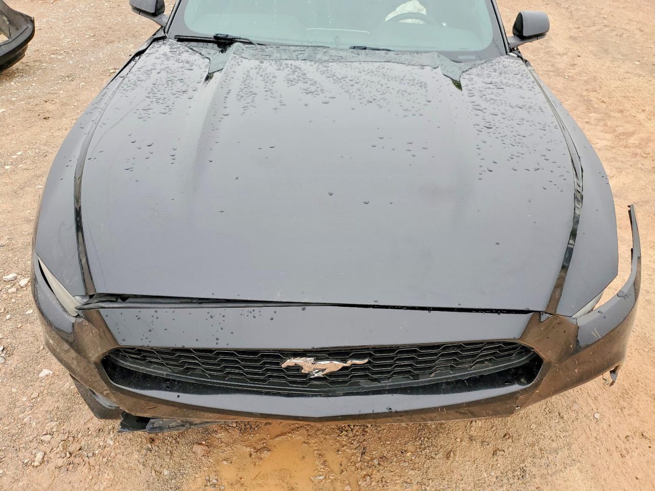 2017 Ford Mustang Black vin: 1FA6P8TH0H5272087