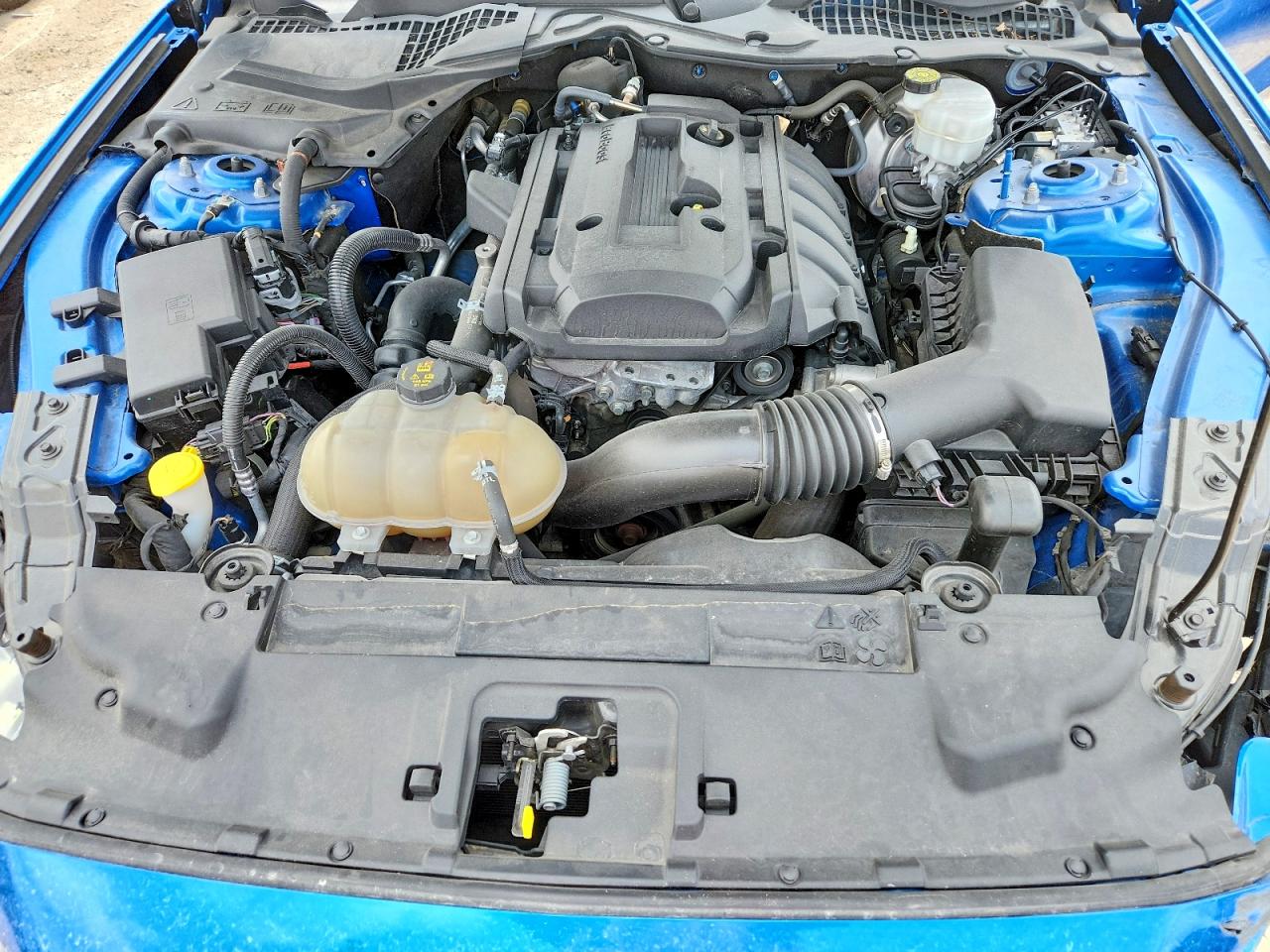2019 Ford Mustang Blue vin: 1FA6P8TH0K5133830