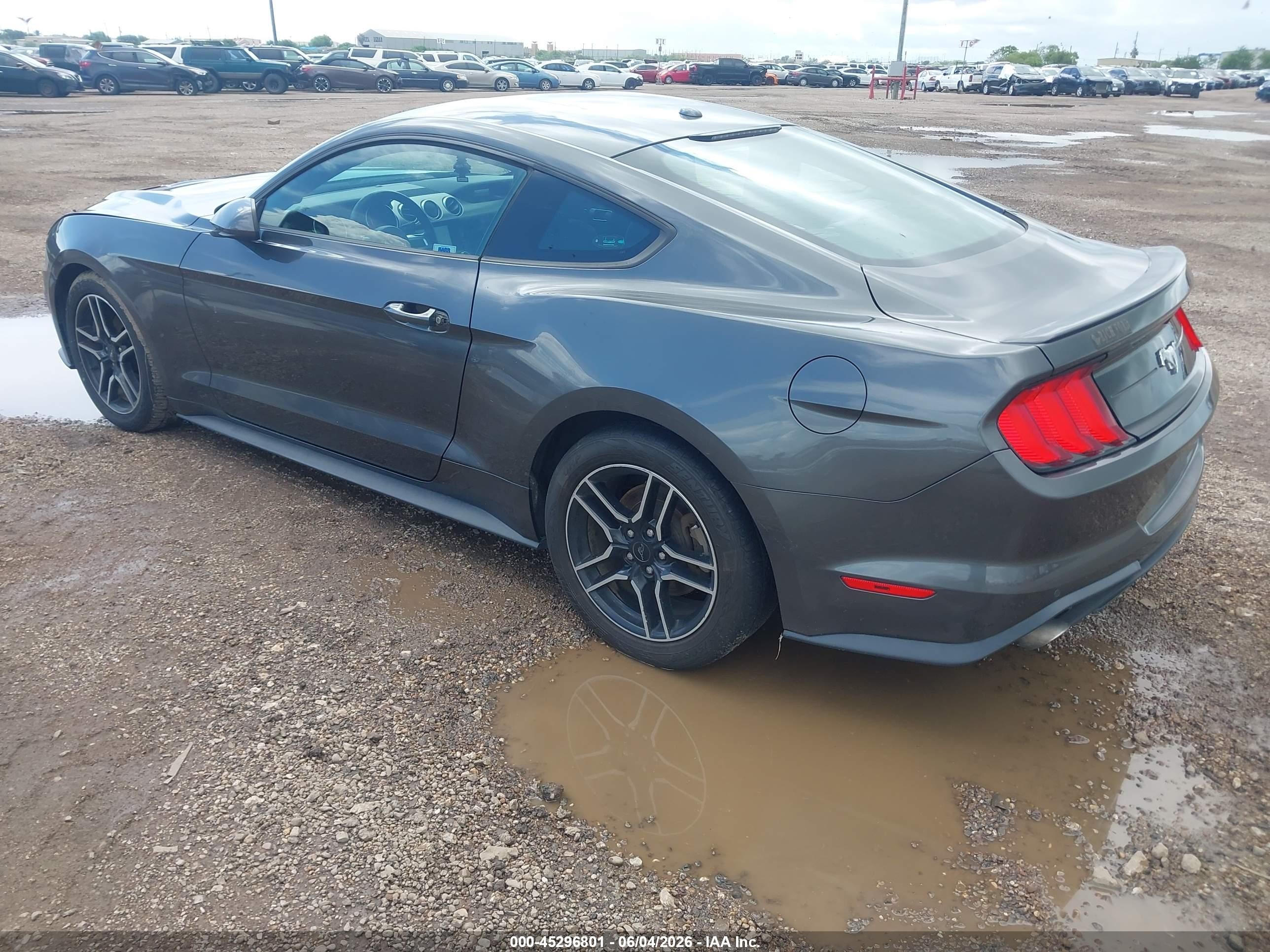 2019 Ford Mustang Ecoboost Gray vin: 1FA6P8TH0K5192974