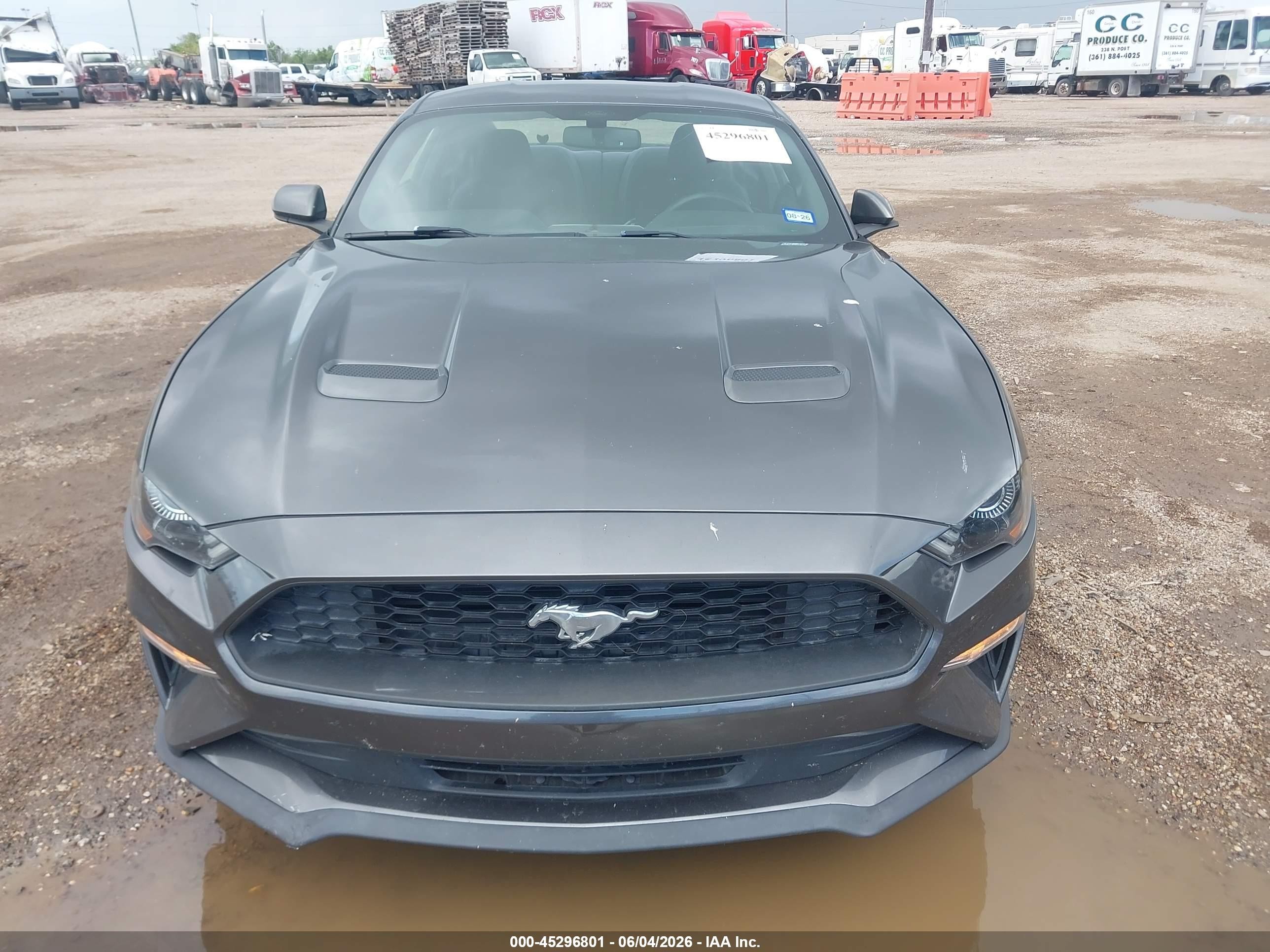 2019 Ford Mustang Ecoboost Gray vin: 1FA6P8TH0K5192974
