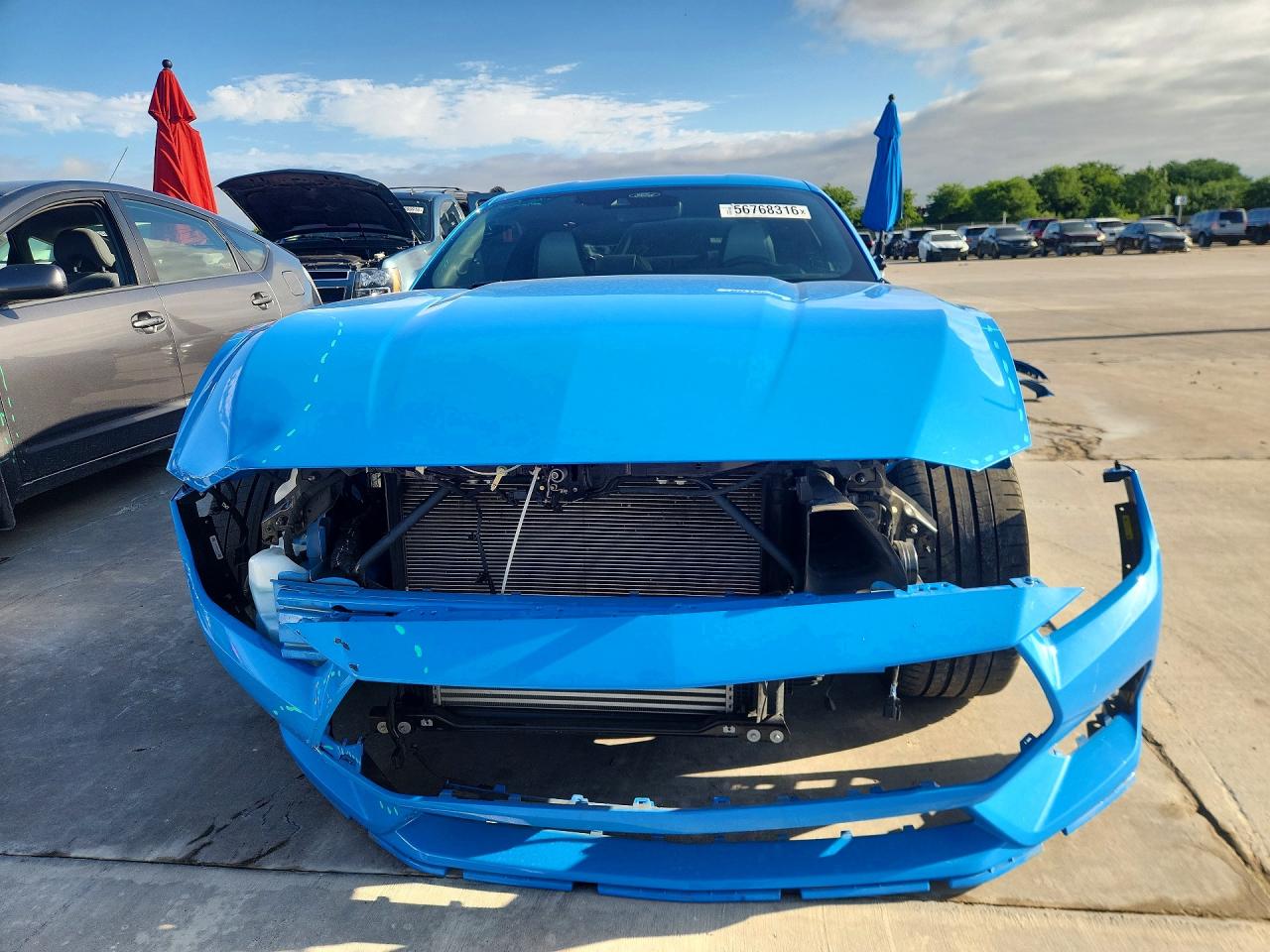 2024 Ford Mustang Blue vin: 1FA6P8TH0R5138794