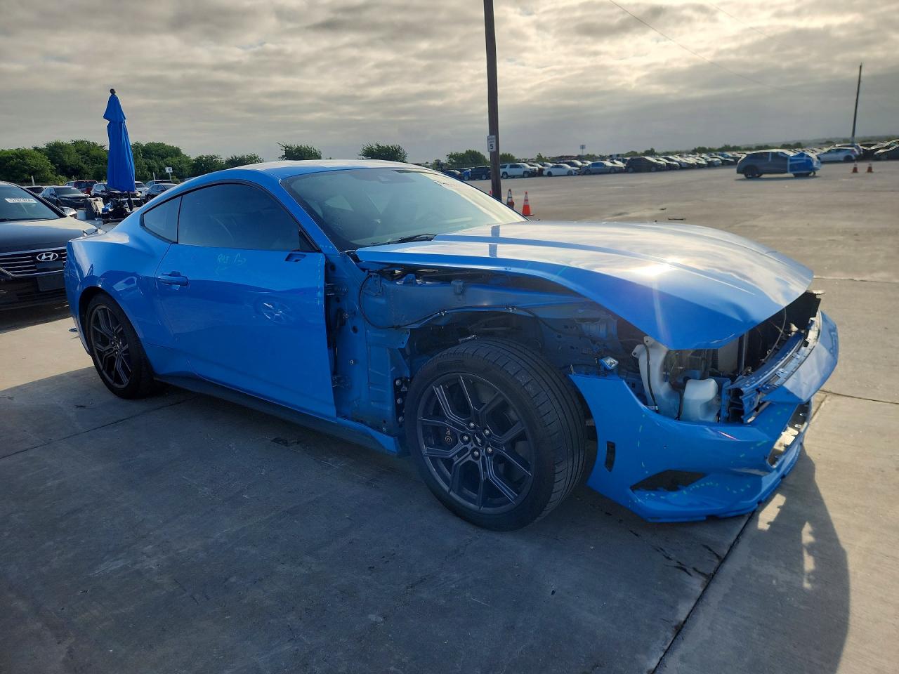 2024 Ford Mustang Blue vin: 1FA6P8TH0R5138794