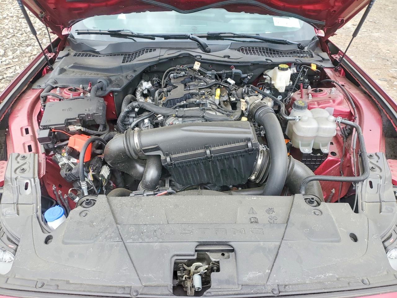 2025 Ford Mustang Бордовый vin: 1FA6P8TH0S5101234