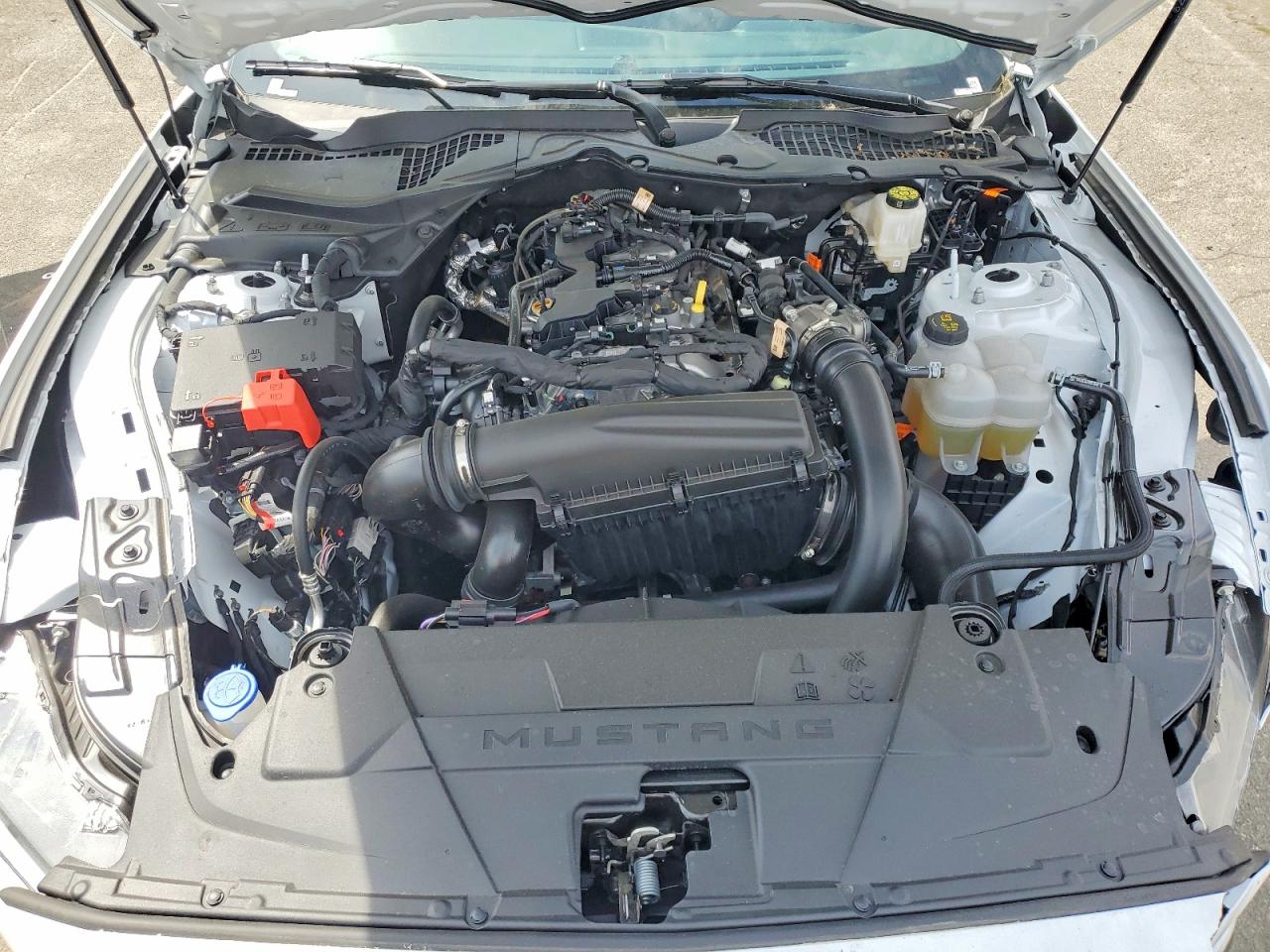 2026 Ford Mustang Белый vin: 1FA6P8TH0T5118813