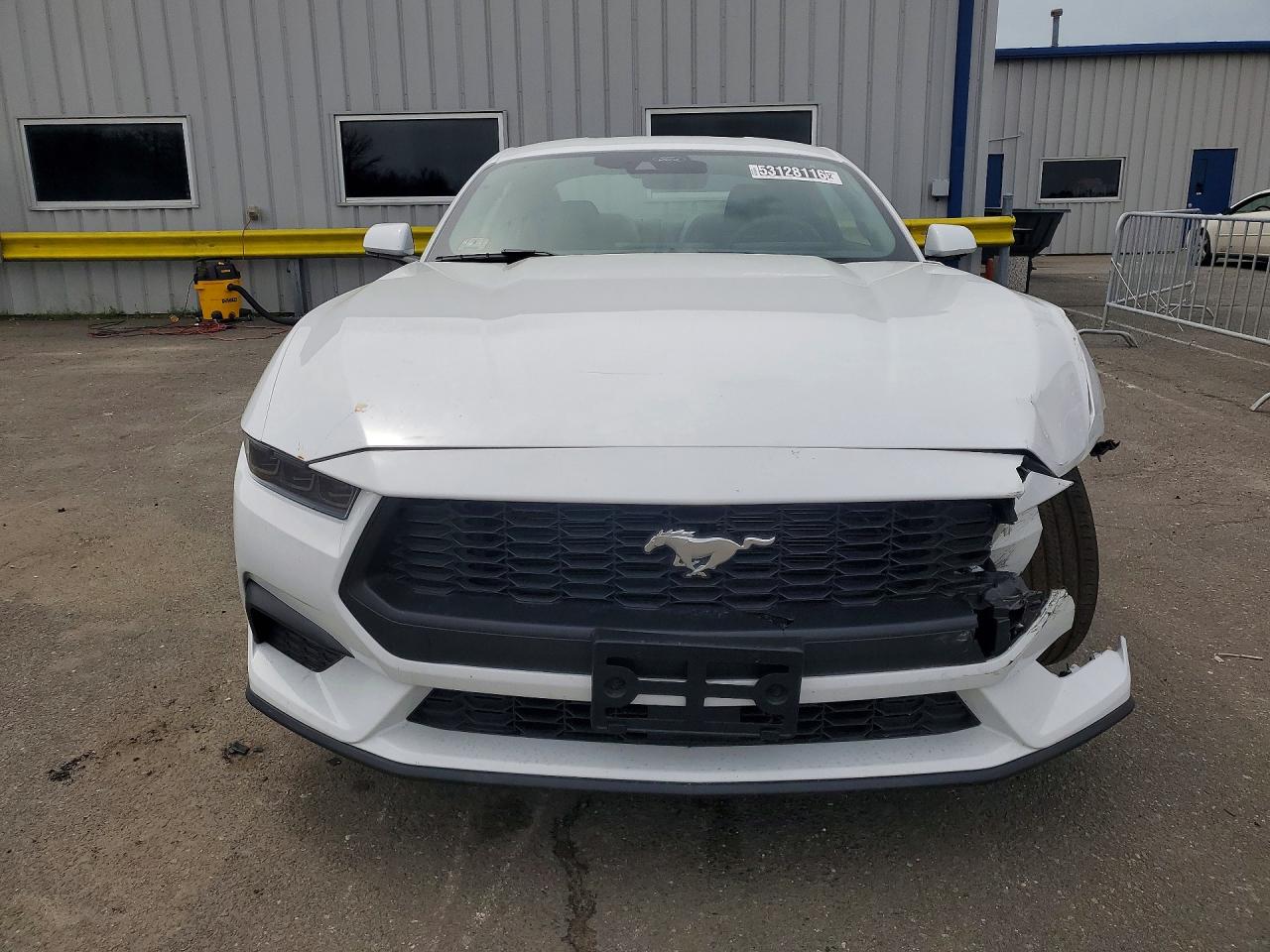 2026 Ford Mustang Белый vin: 1FA6P8TH0T5118813