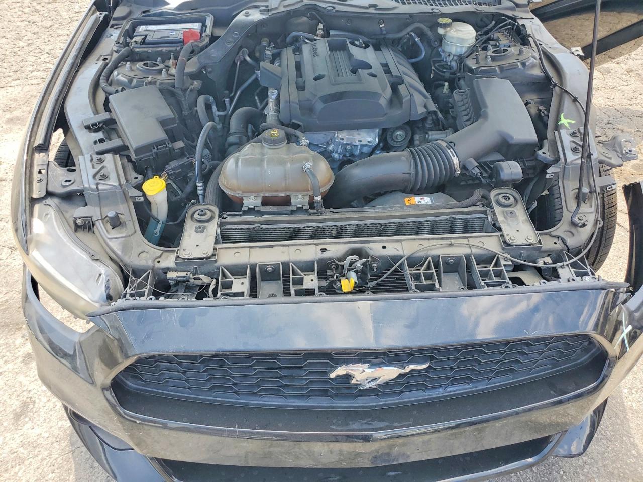 2015 Ford Mustang Black vin: 1FA6P8TH1F5413696