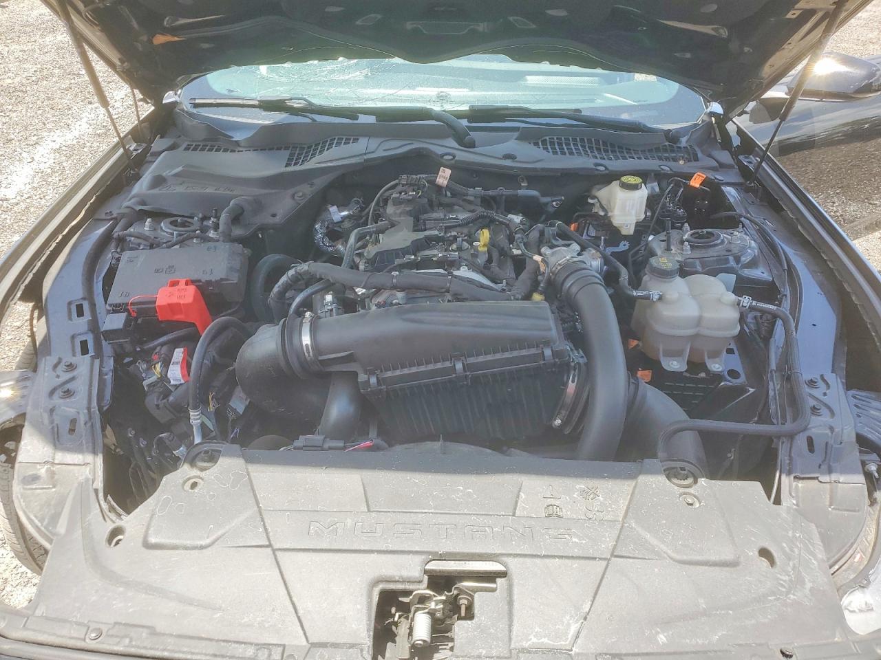 2024 Ford Mustang Black vin: 1FA6P8TH1R5109658