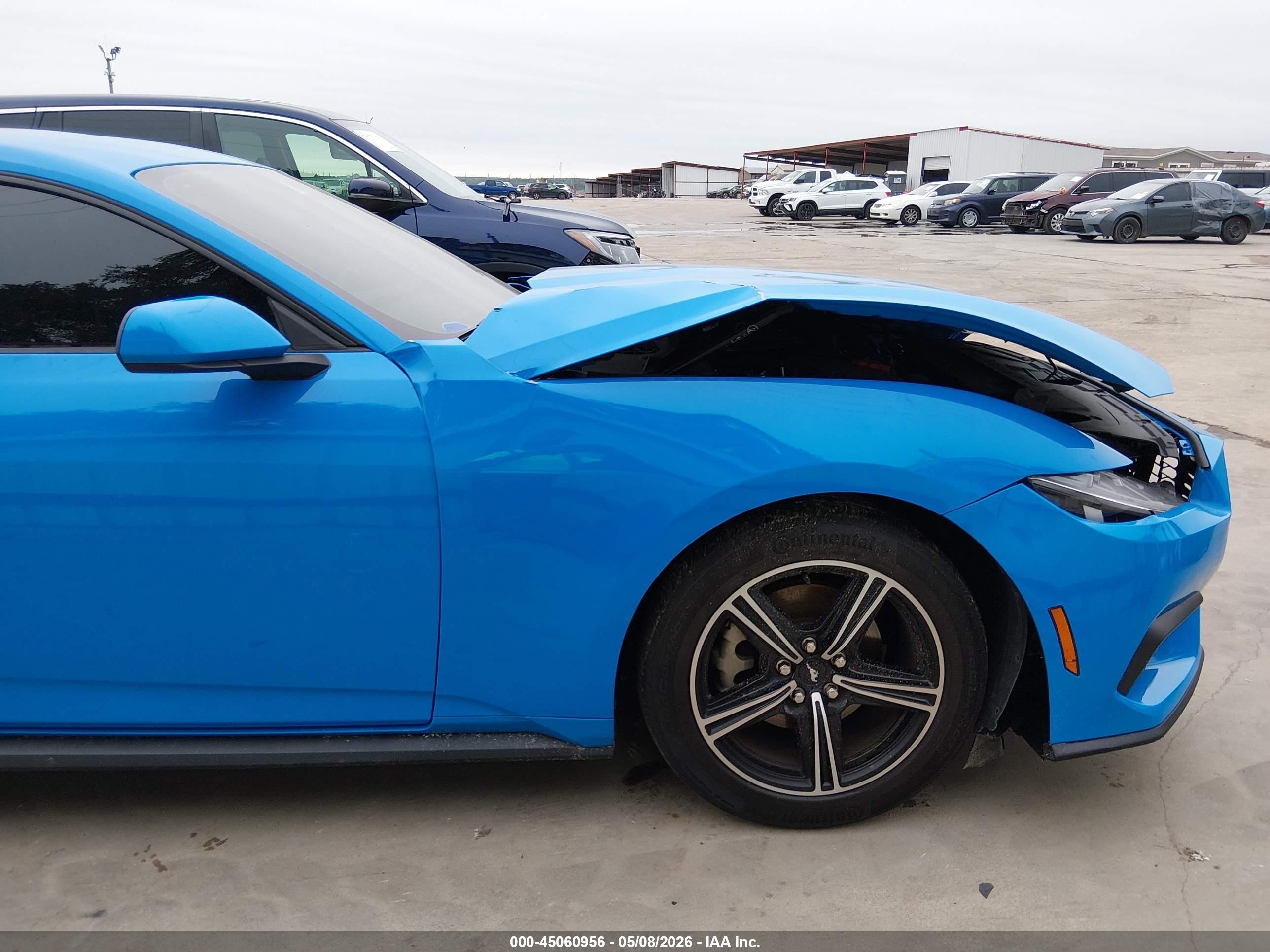 2024 Ford Mustang Ecoboost Premium Fastback Blue vin: 1FA6P8TH1R5136245
