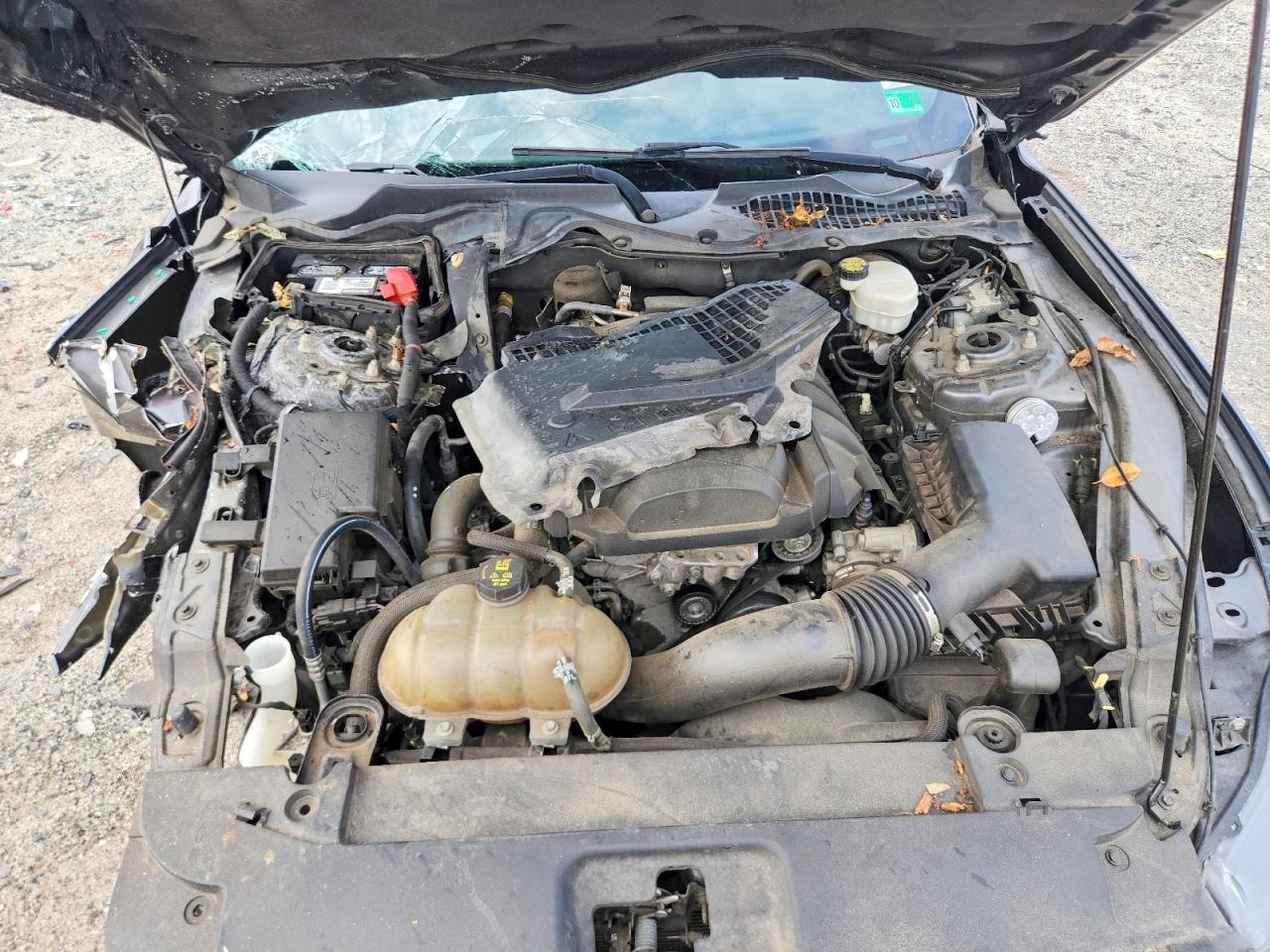 2015 Ford Mustang Серый vin: 1FA6P8TH2F5351483