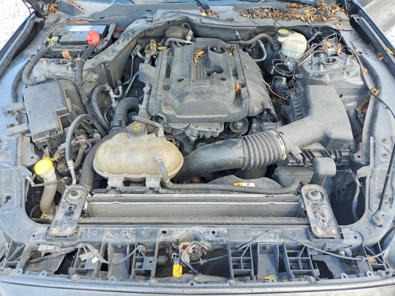 2015 Ford Mustang Gray vin: 1FA6P8TH2F5420026