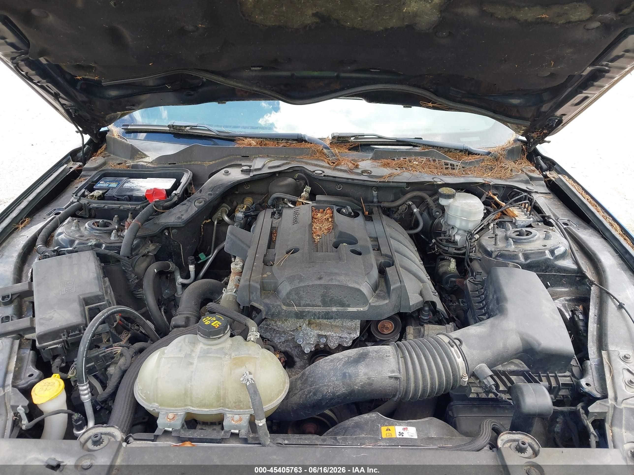 2015 Ford Mustang Ecoboost Black vin: 1FA6P8TH2F5428806