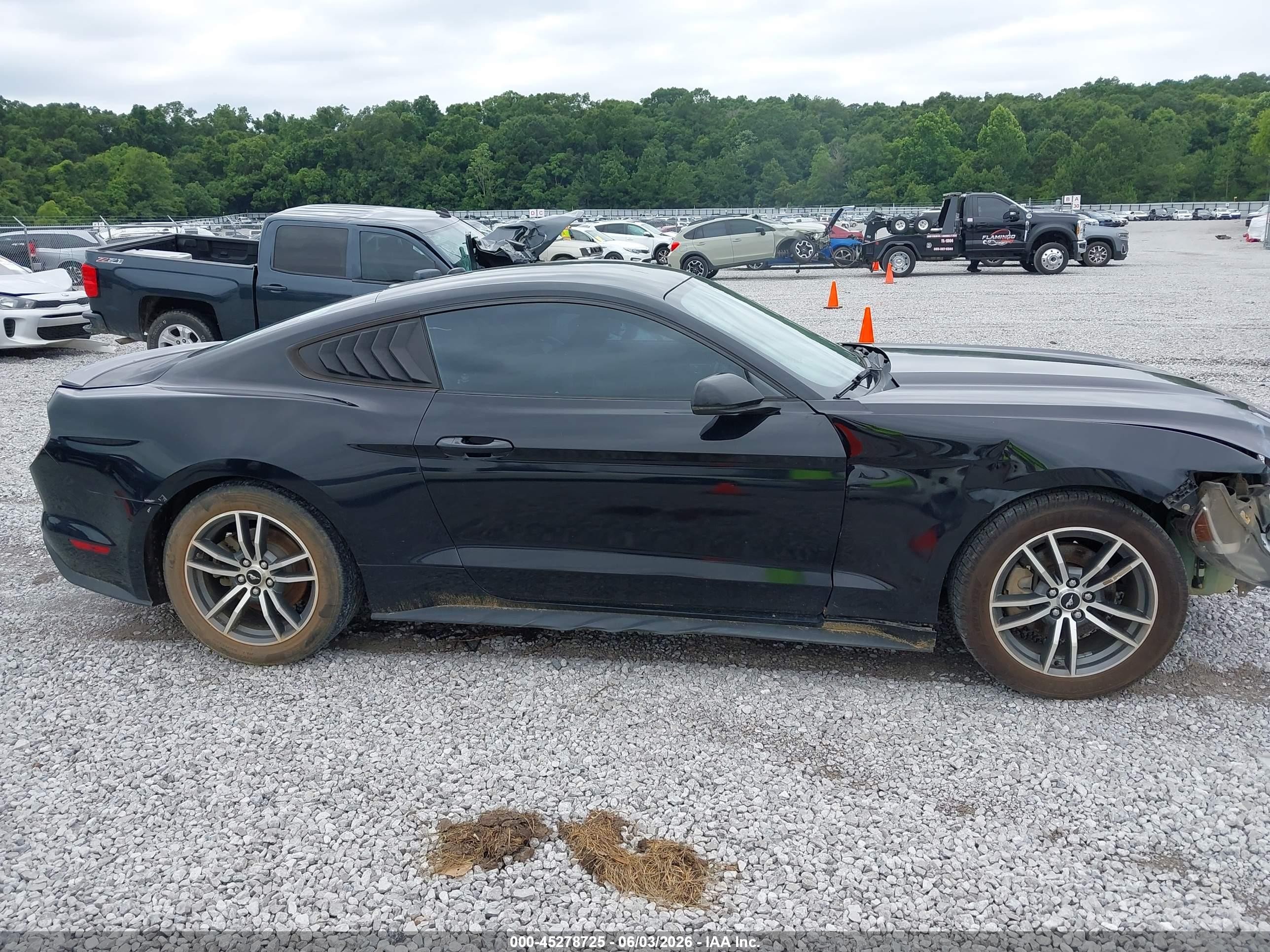 2015 Ford Mustang Ecoboost Black vin: 1FA6P8TH3F5317228