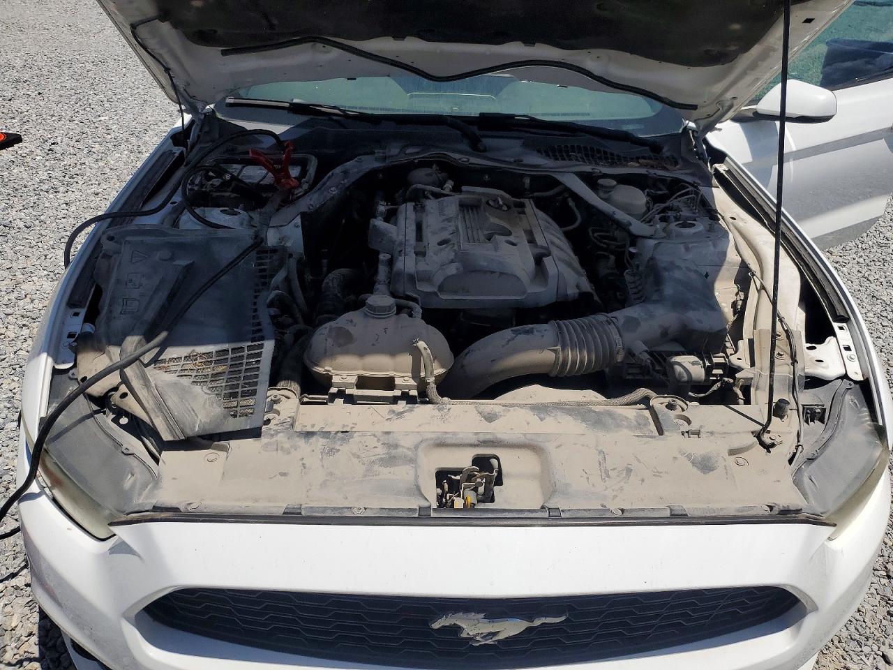 2015 Ford Mustang White vin: 1FA6P8TH3F5321960