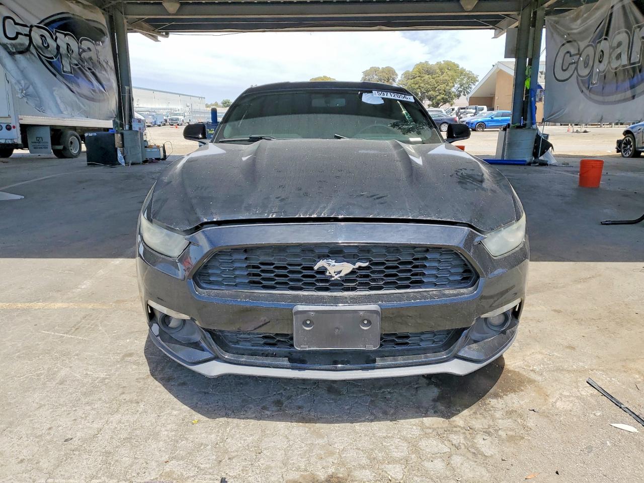 2015 Ford Mustang Black vin: 1FA6P8TH3F5335762