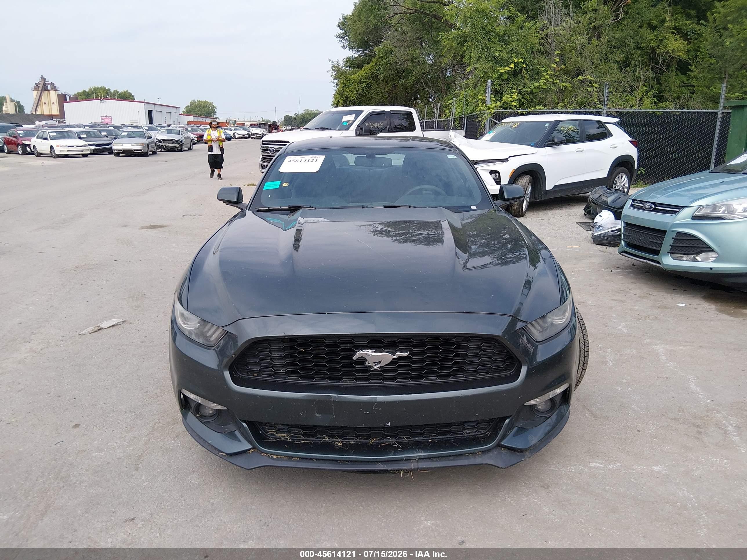 2015 Ford Mustang Ecoboost Зеленый vin: 1FA6P8TH3F5343263