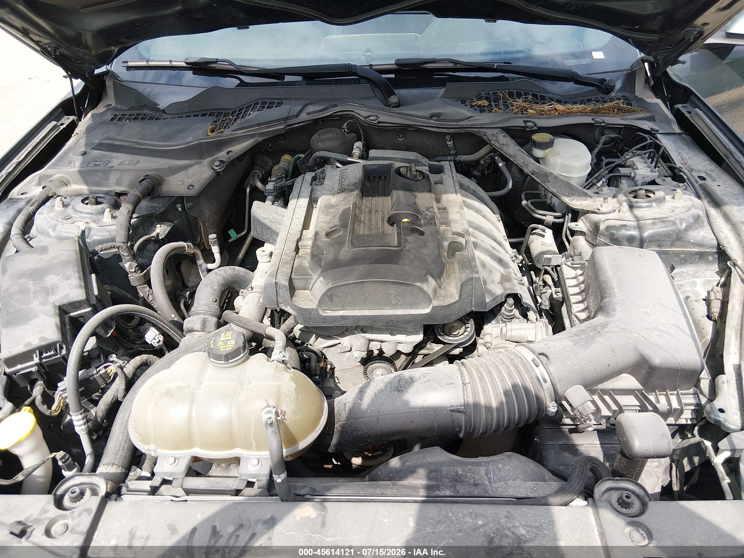 2015 Ford Mustang Ecoboost Зеленый vin: 1FA6P8TH3F5343263