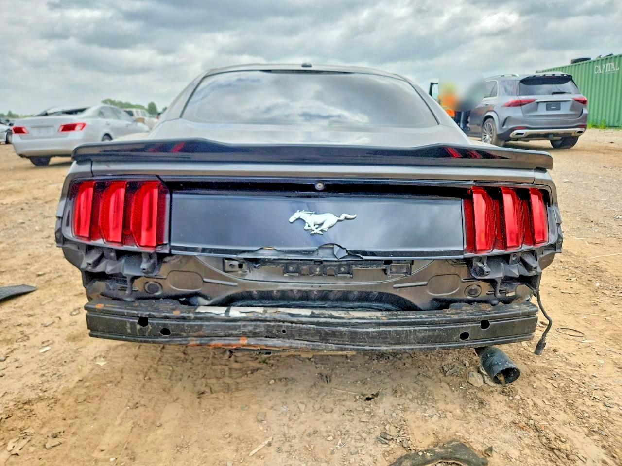 2015 Ford Mustang Gray vin: 1FA6P8TH3F5348379