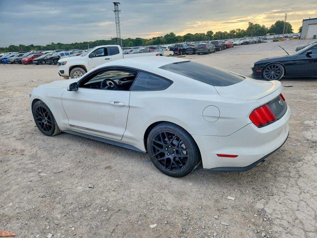 2015 Ford Mustang White vin: 1FA6P8TH3F5349645